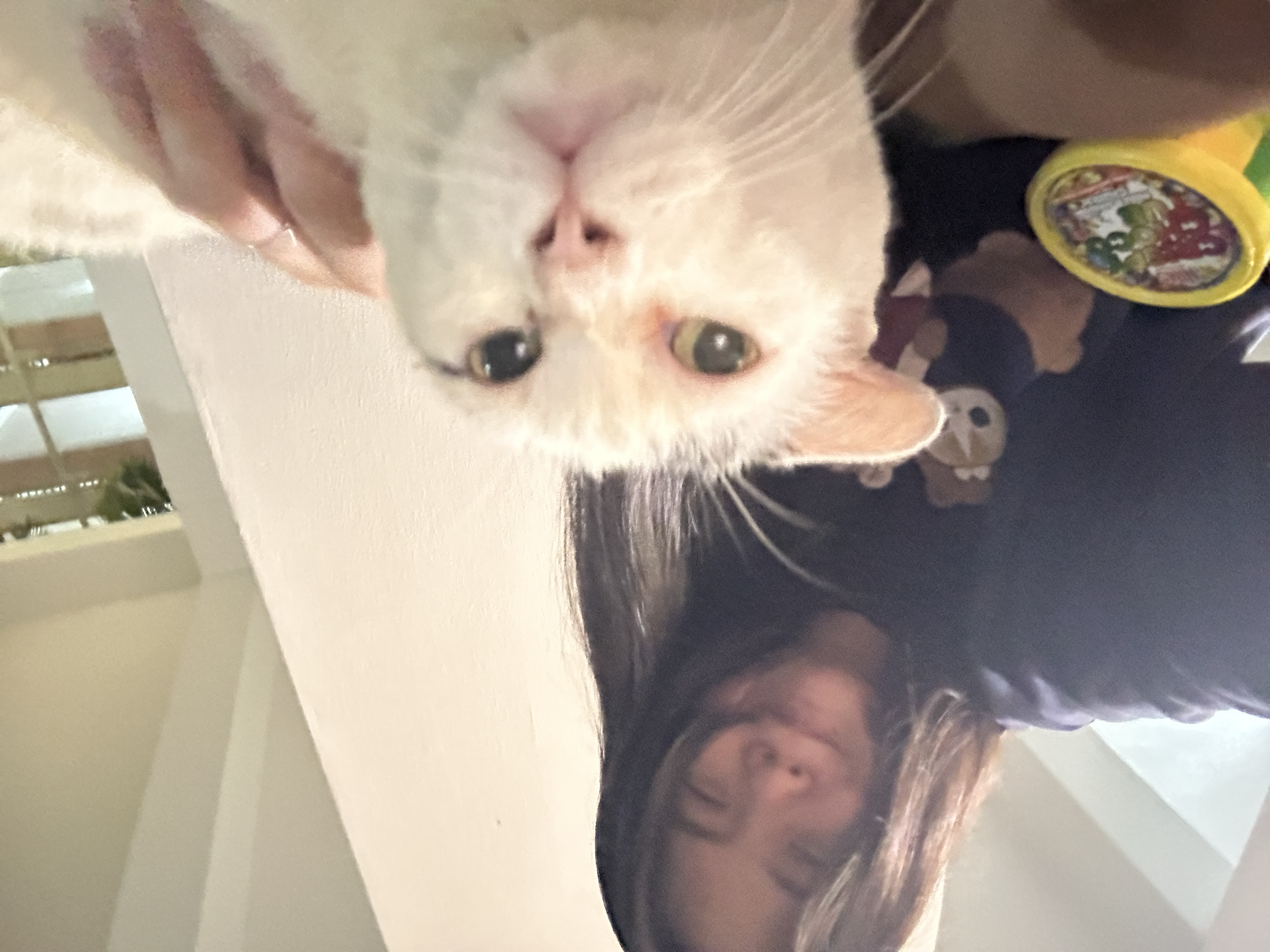 image-6
