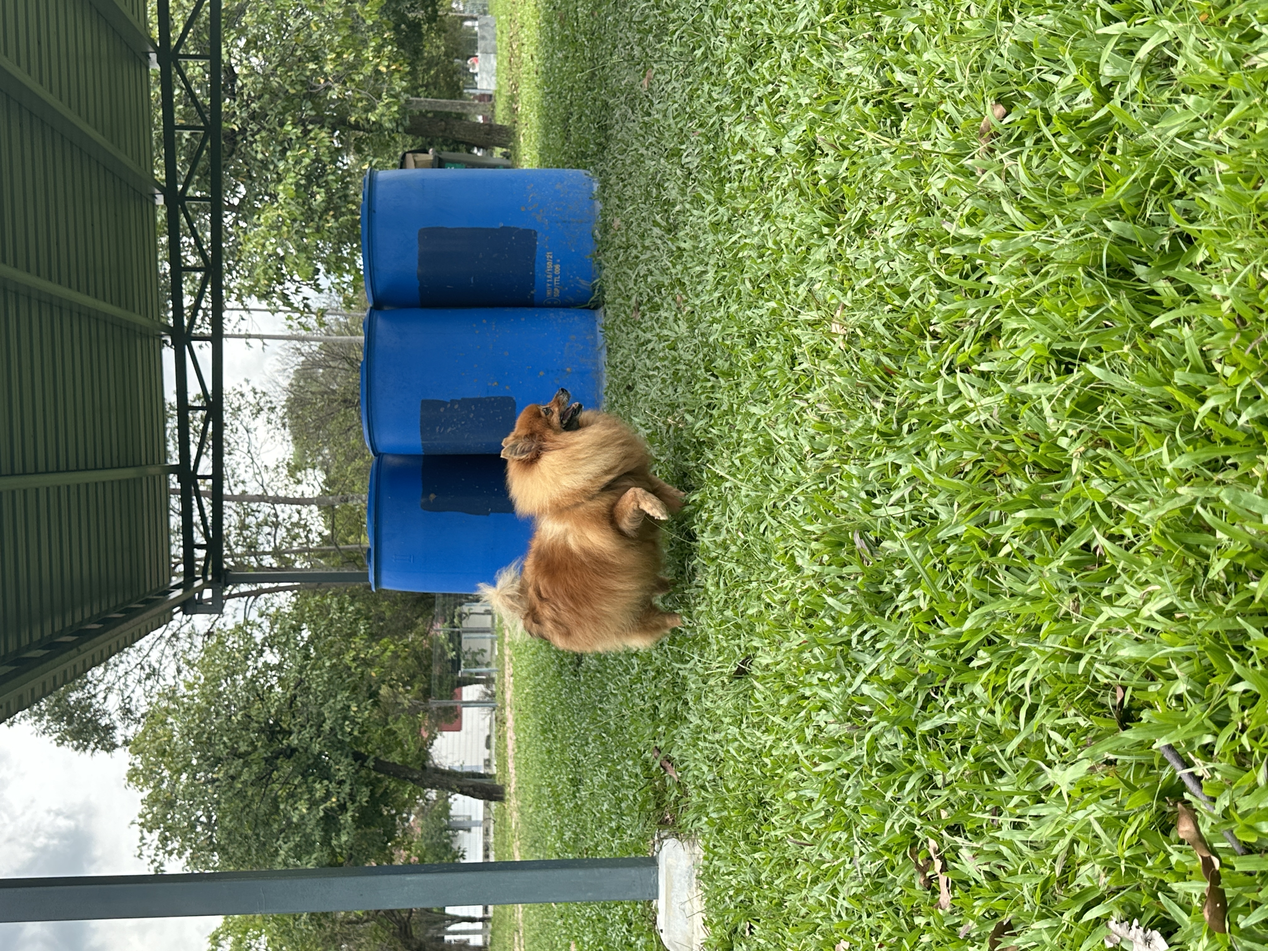 image-3