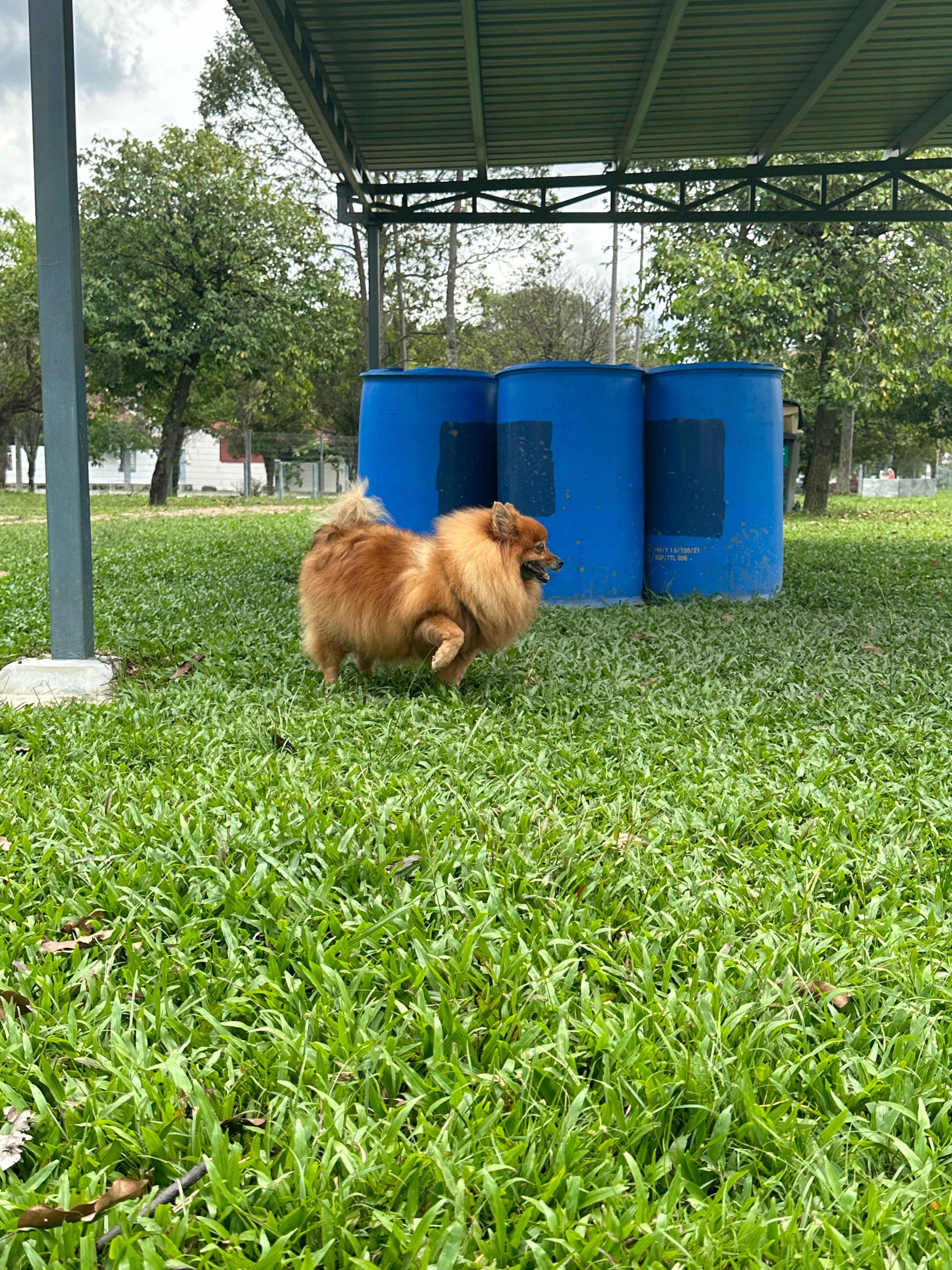 image-3