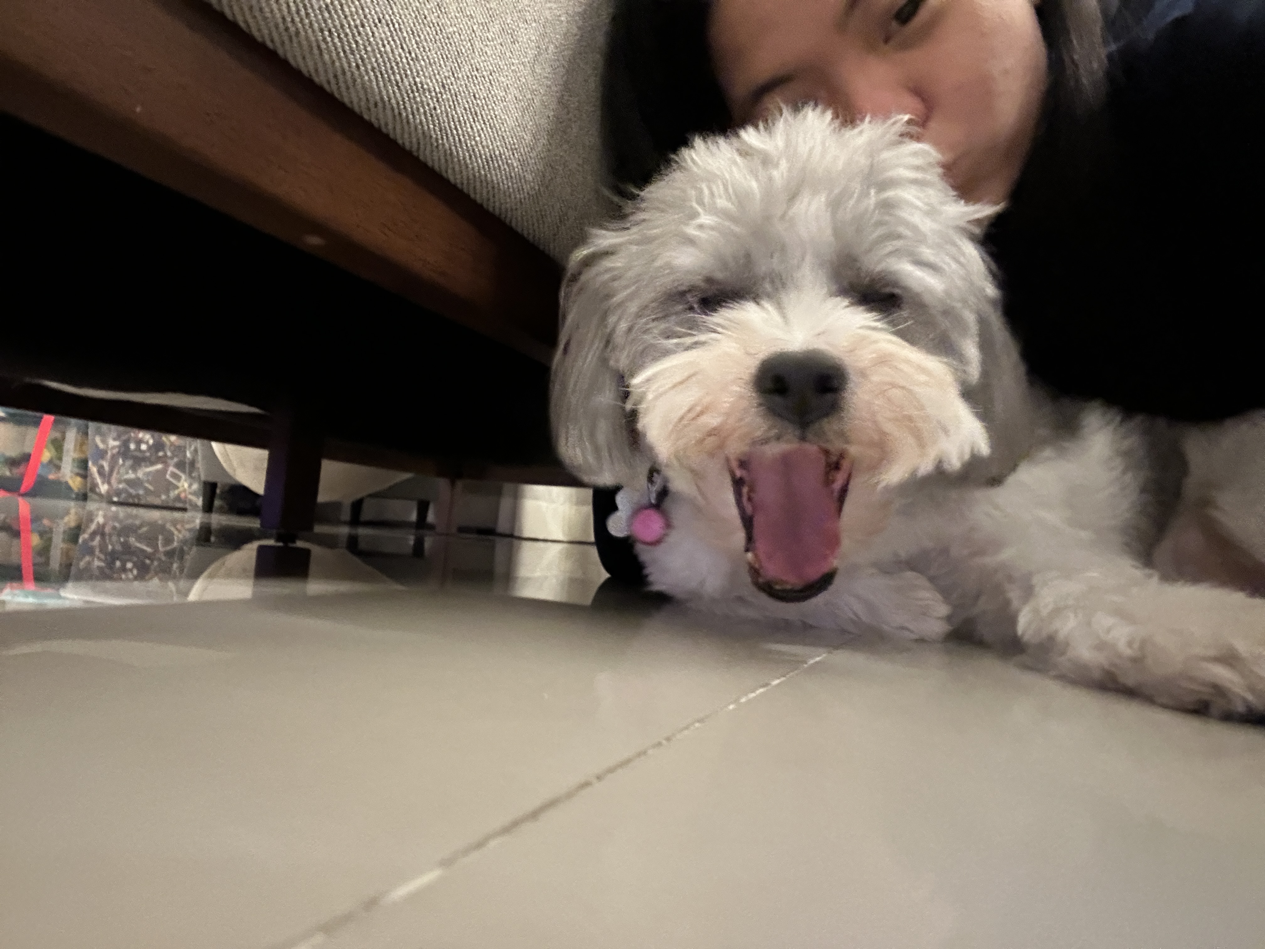 image-8
