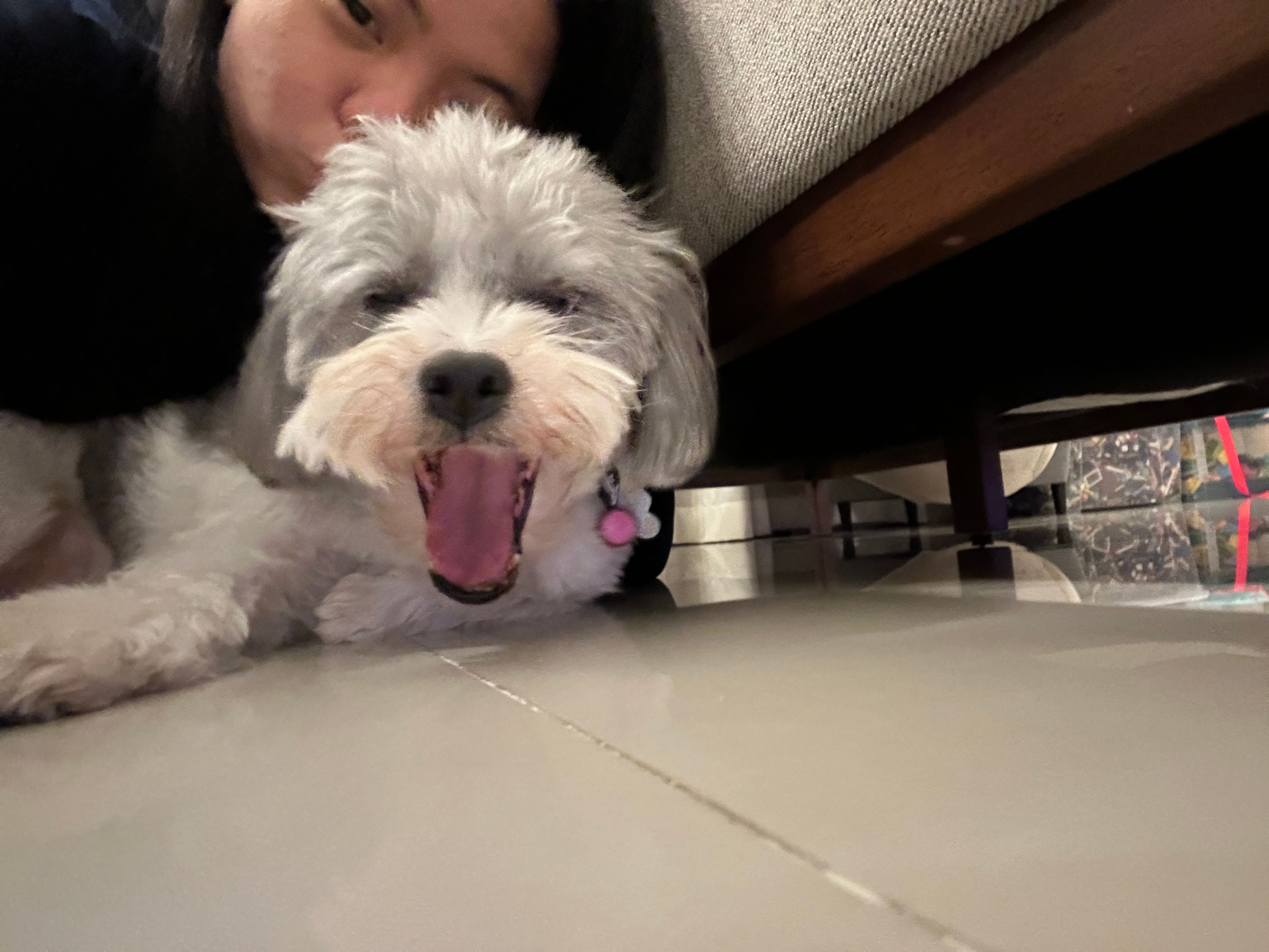 image-8