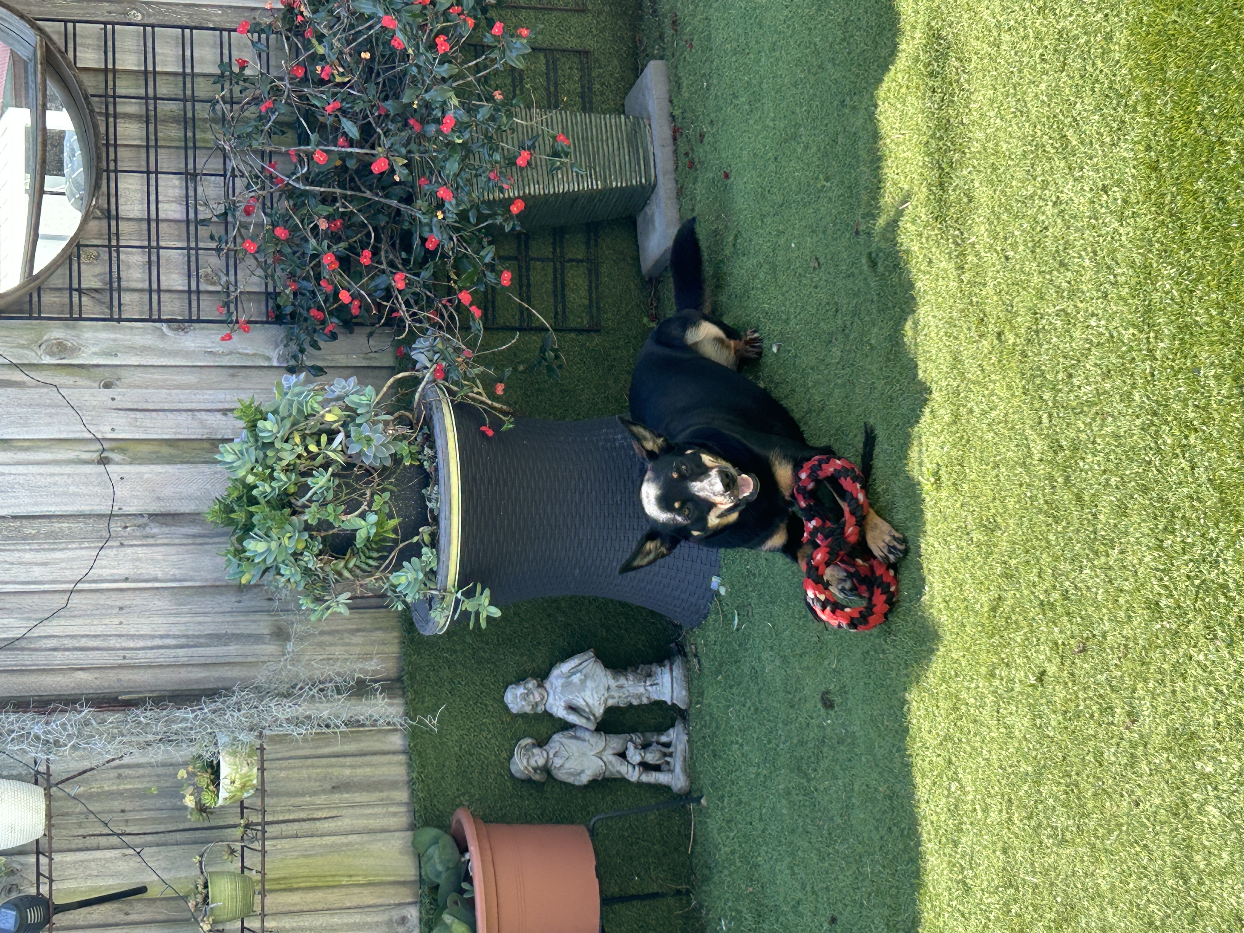 image-28