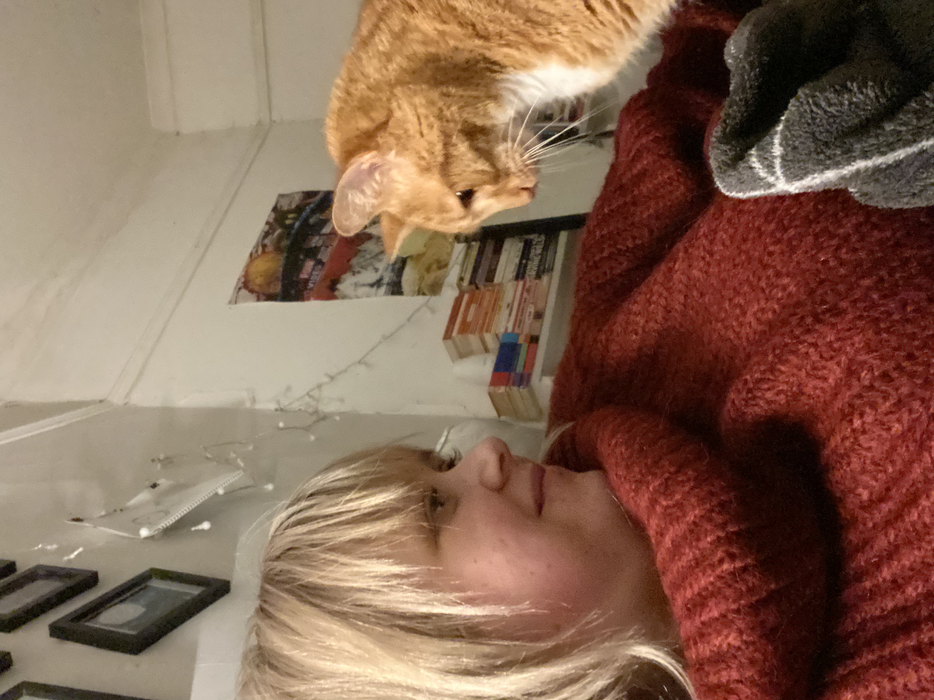 image-6