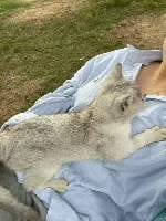 image-7