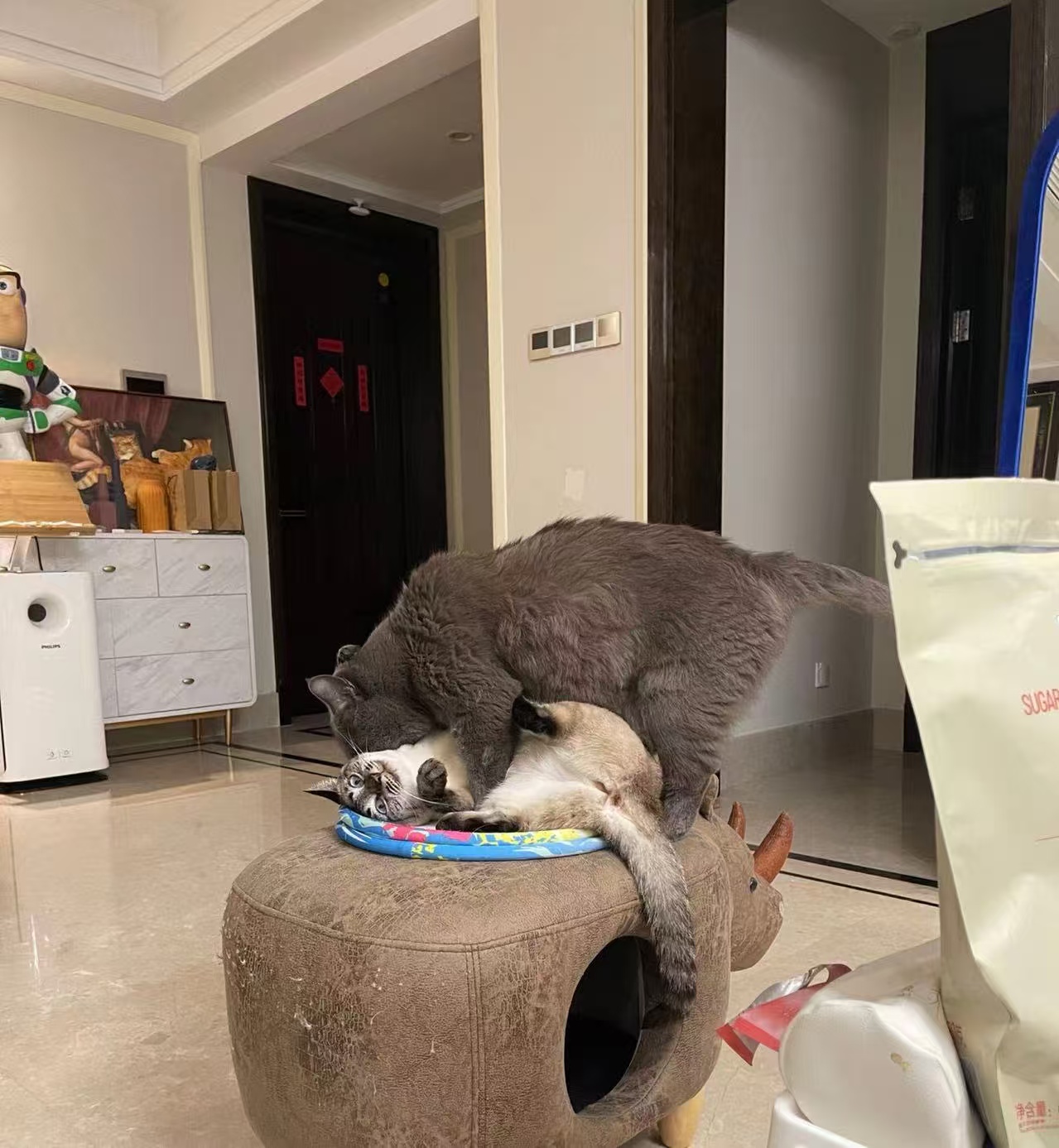 image-11