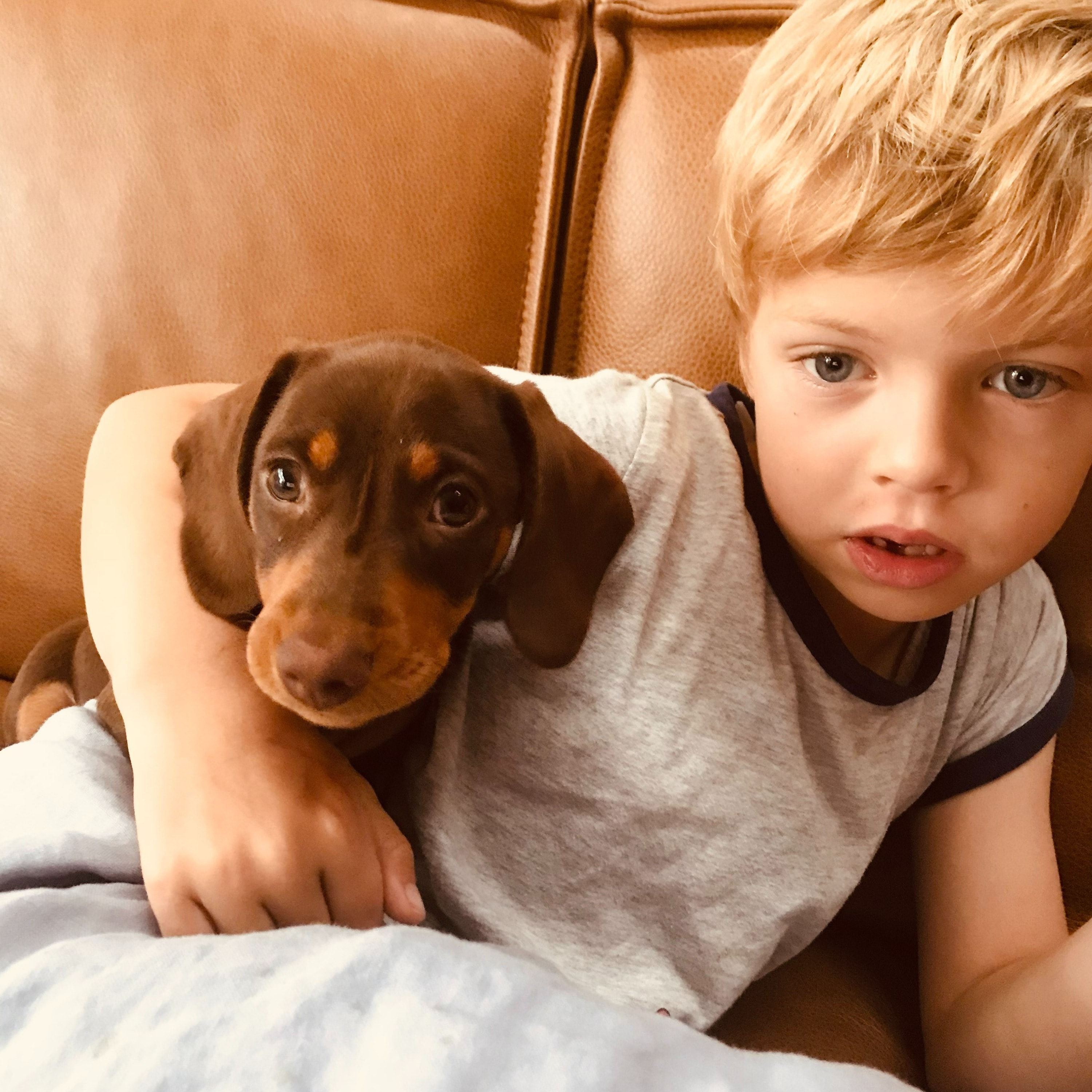 Milo