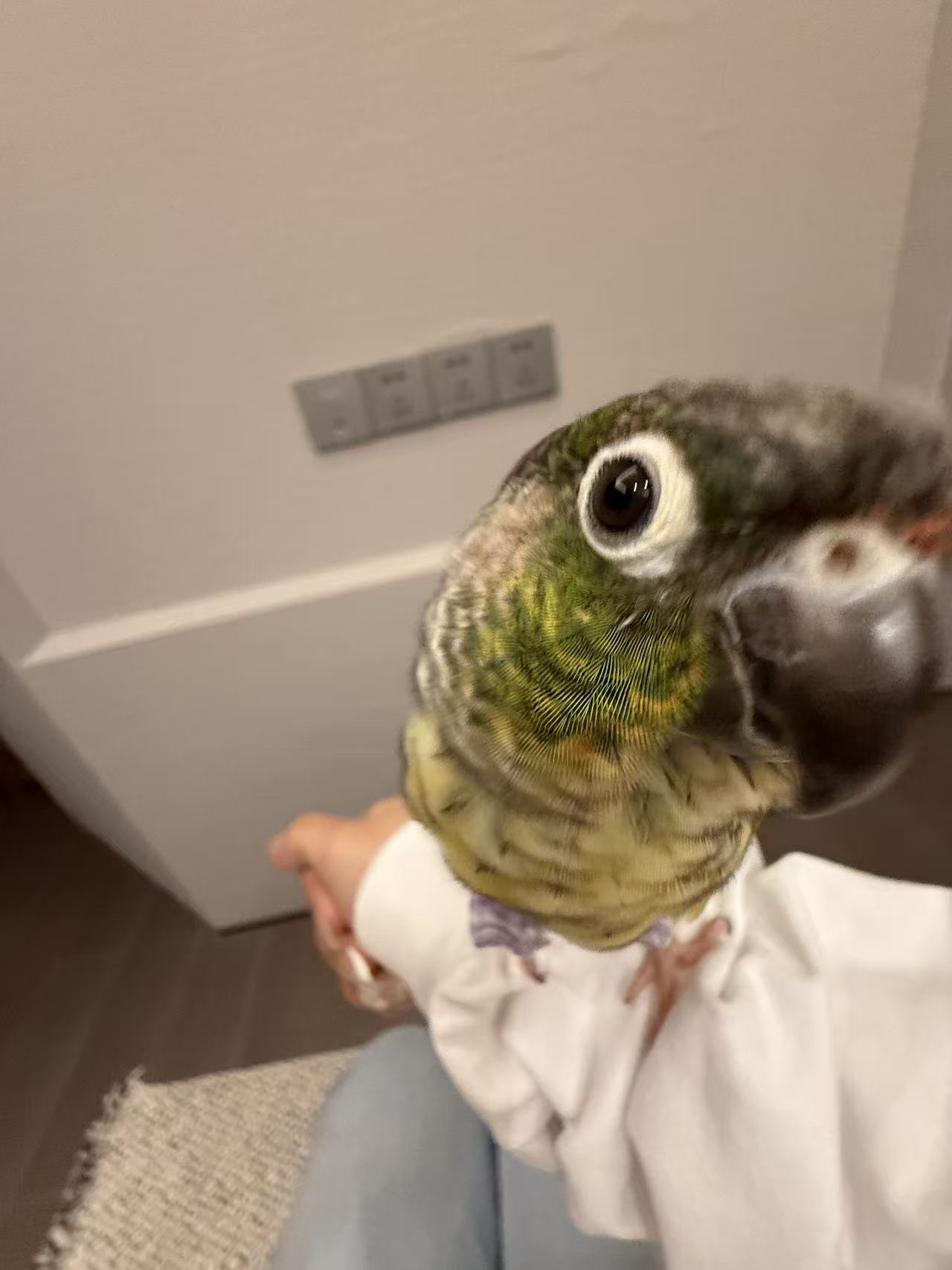 image-6