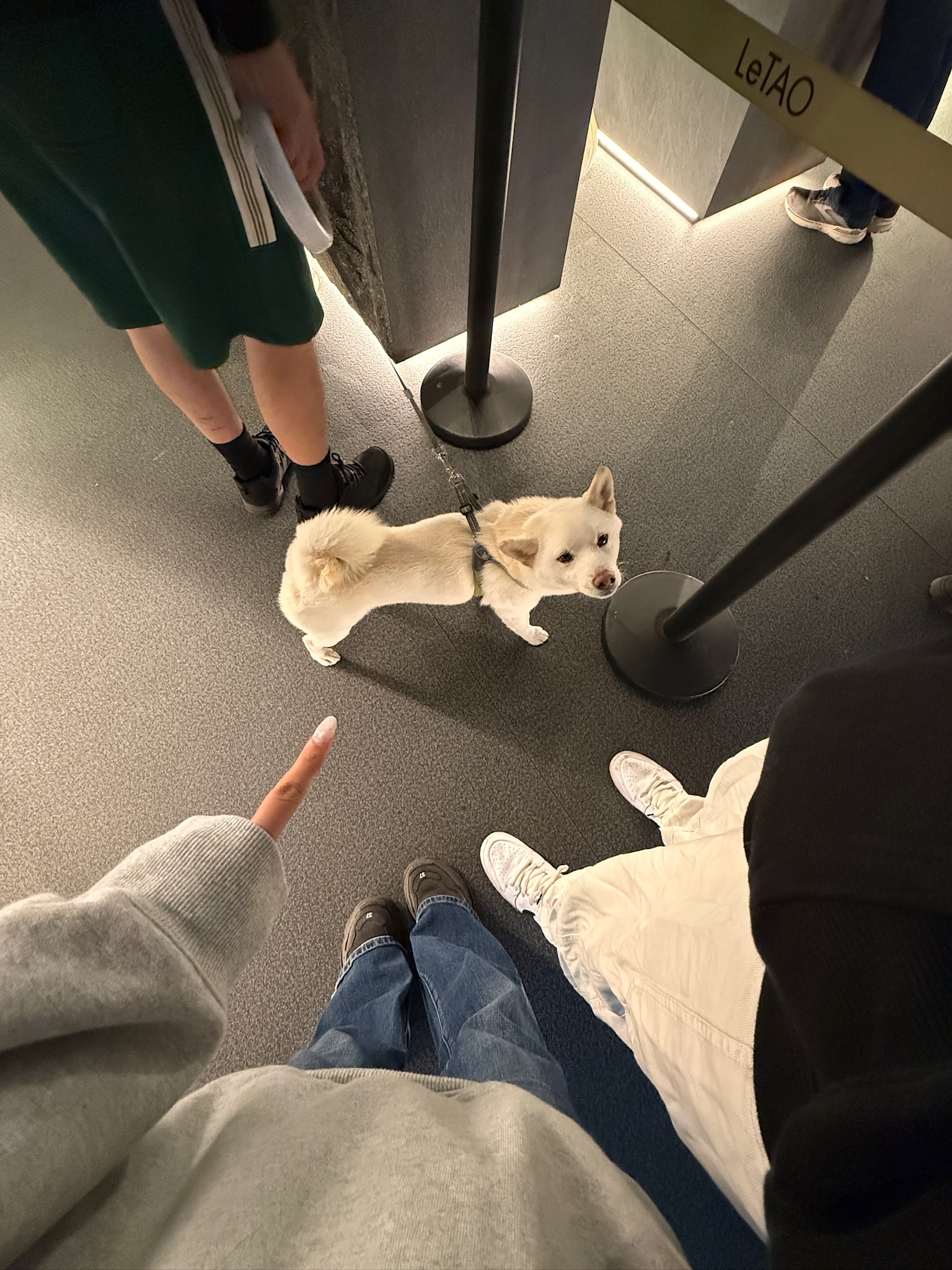 image-7