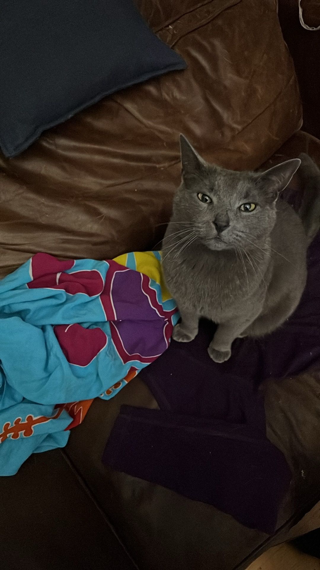 image-6