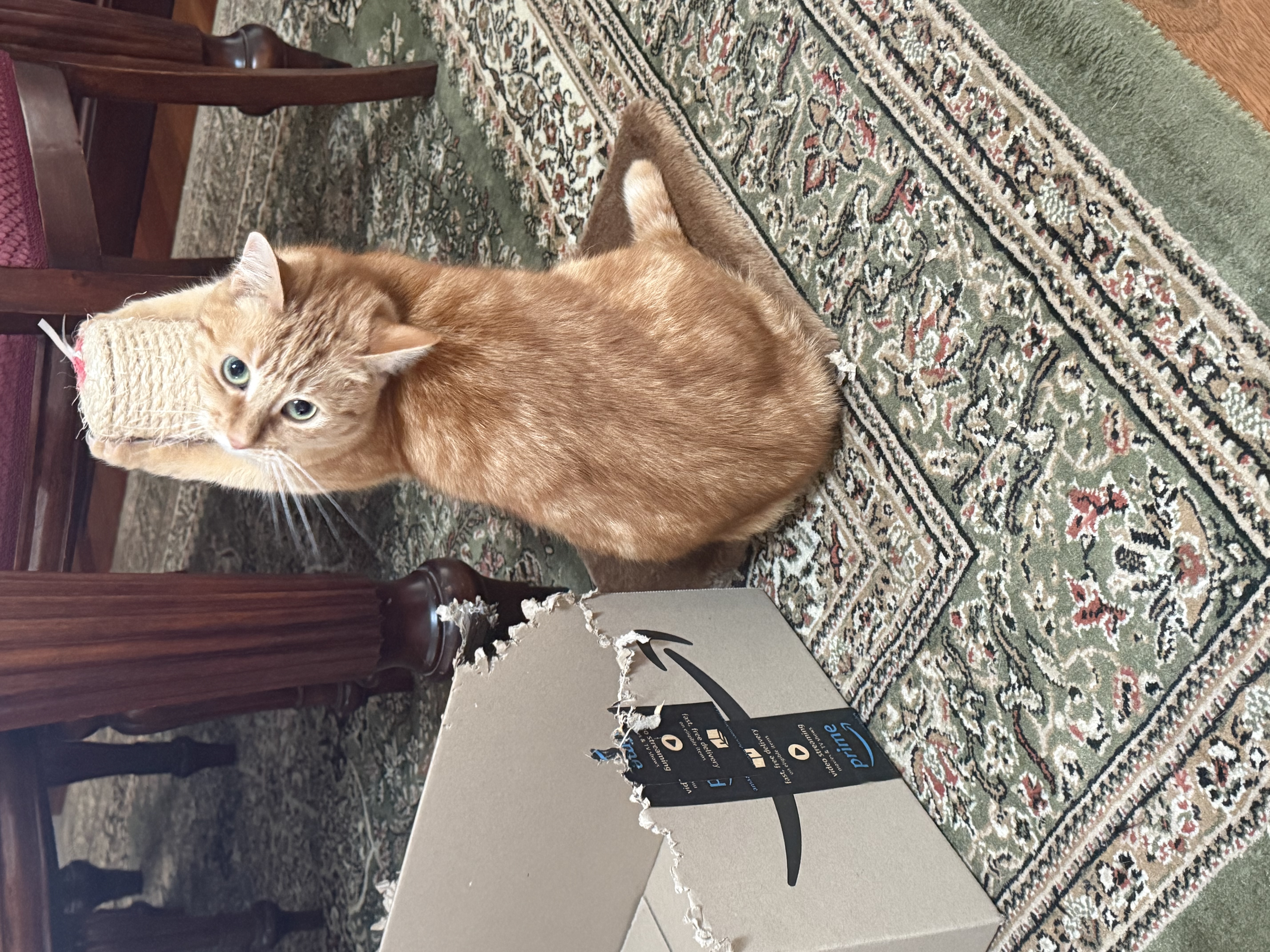 image-6