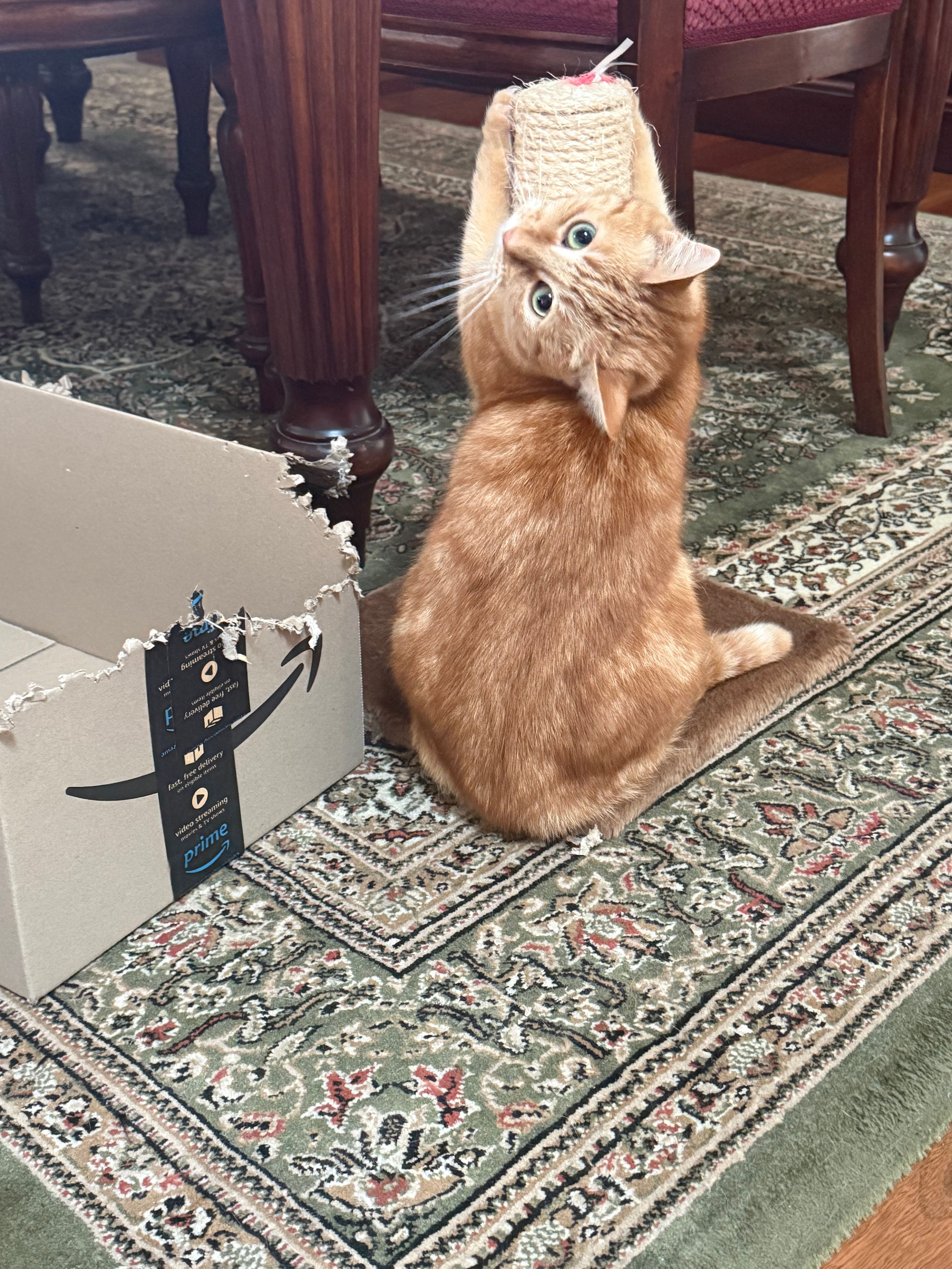 image-6