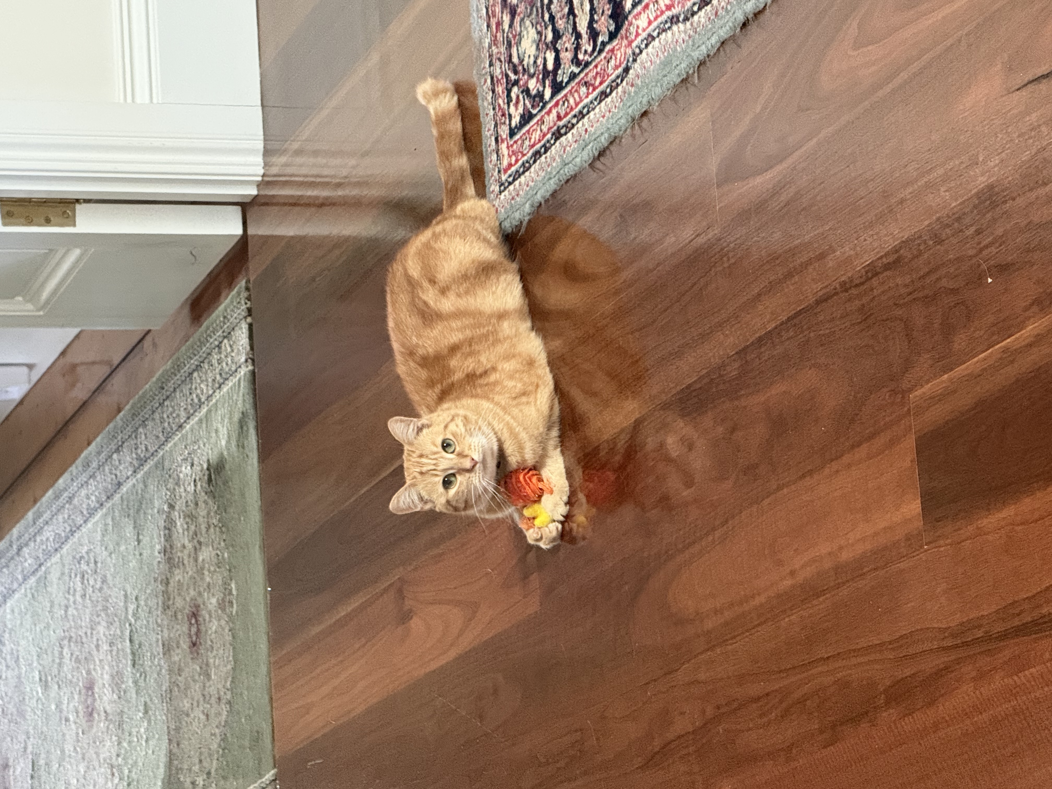 image-4