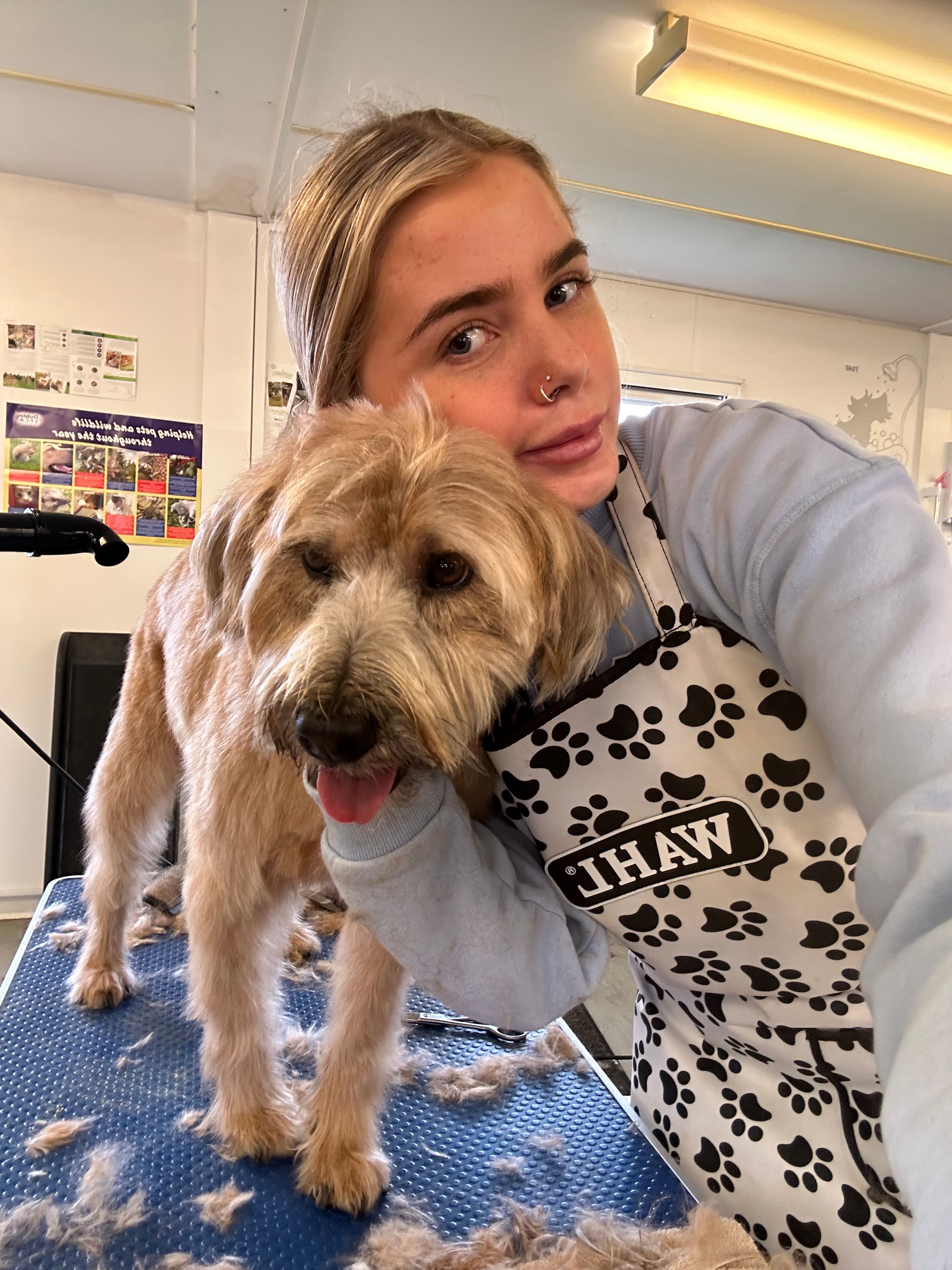 image-0