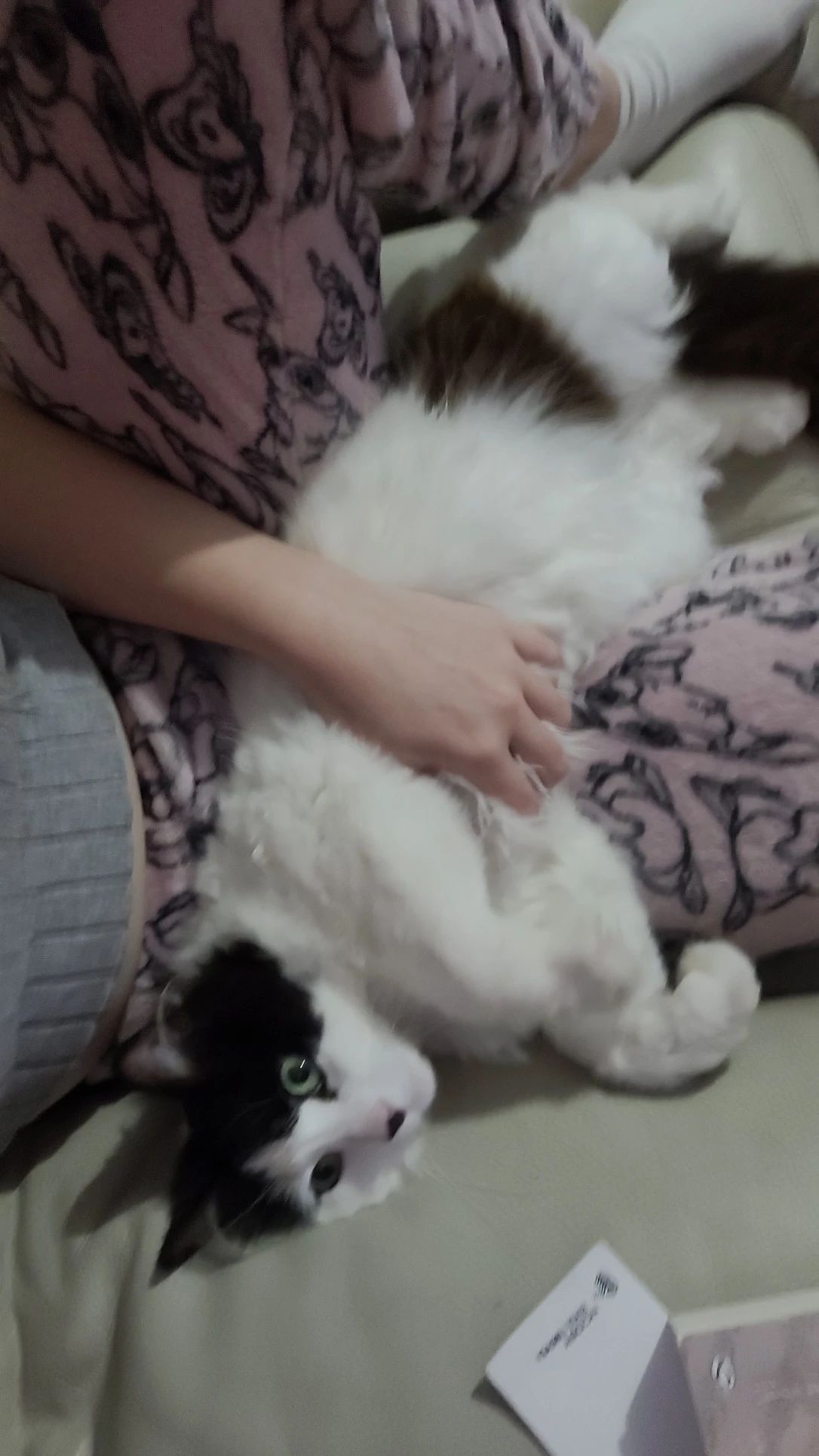 image-11