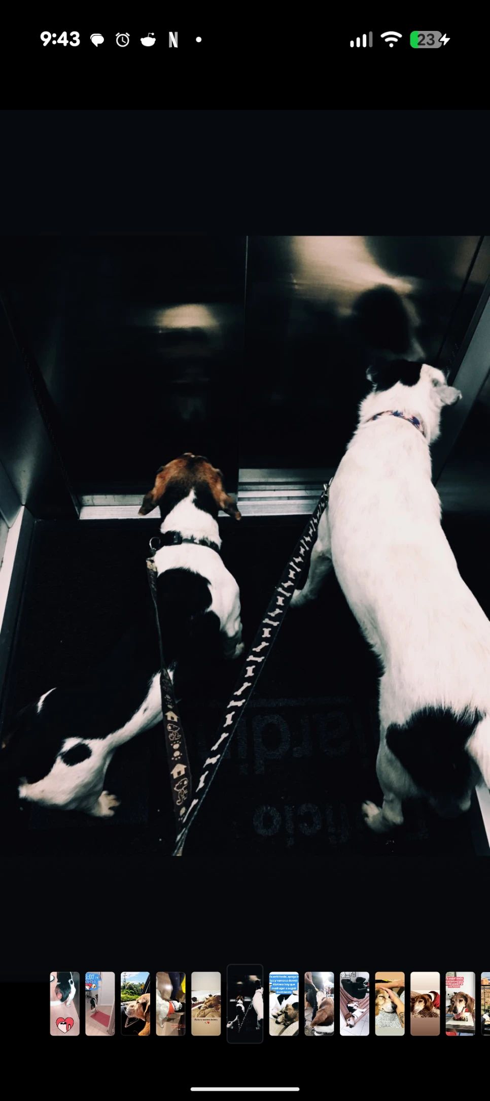 image-7