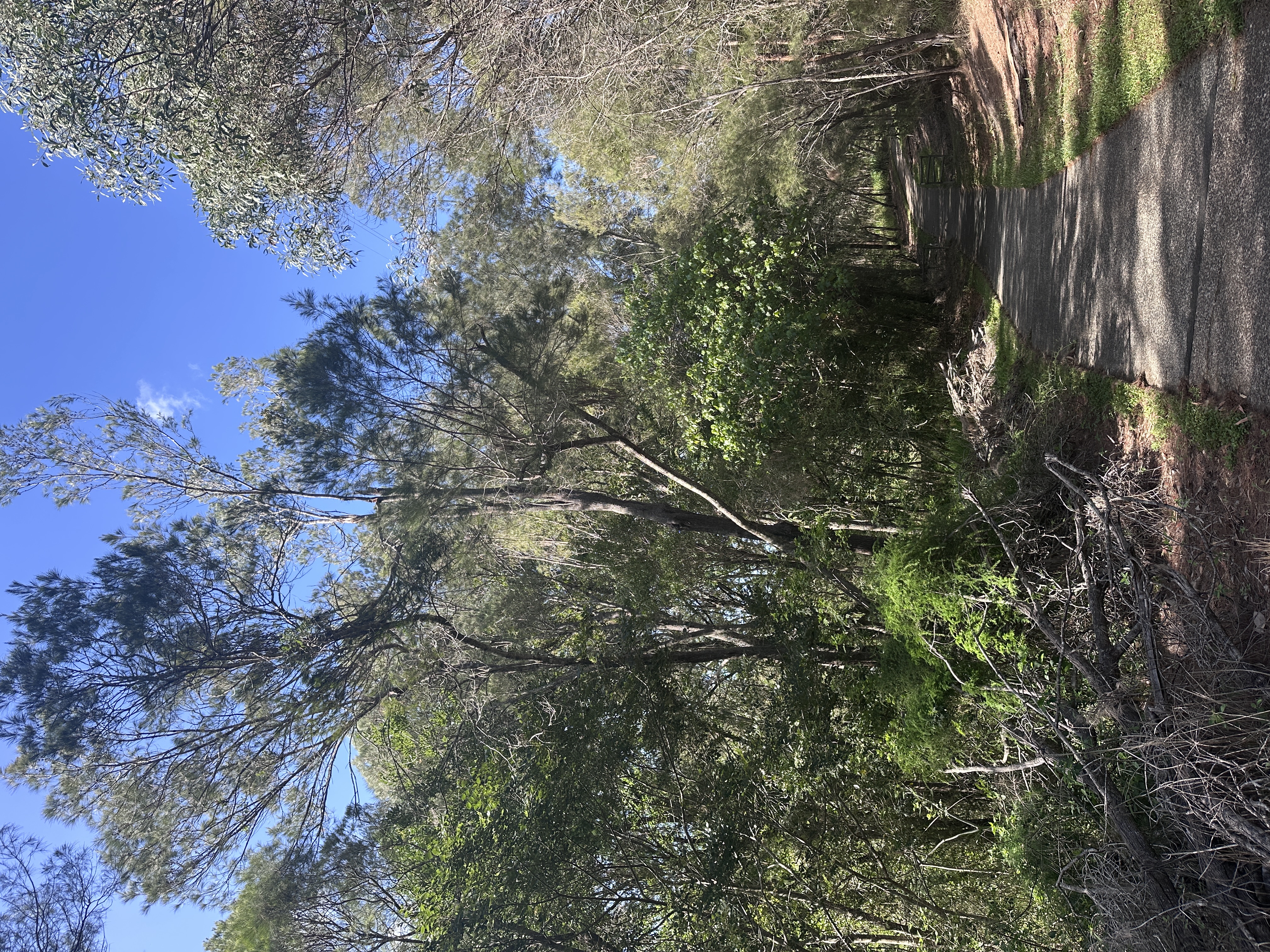 image-18