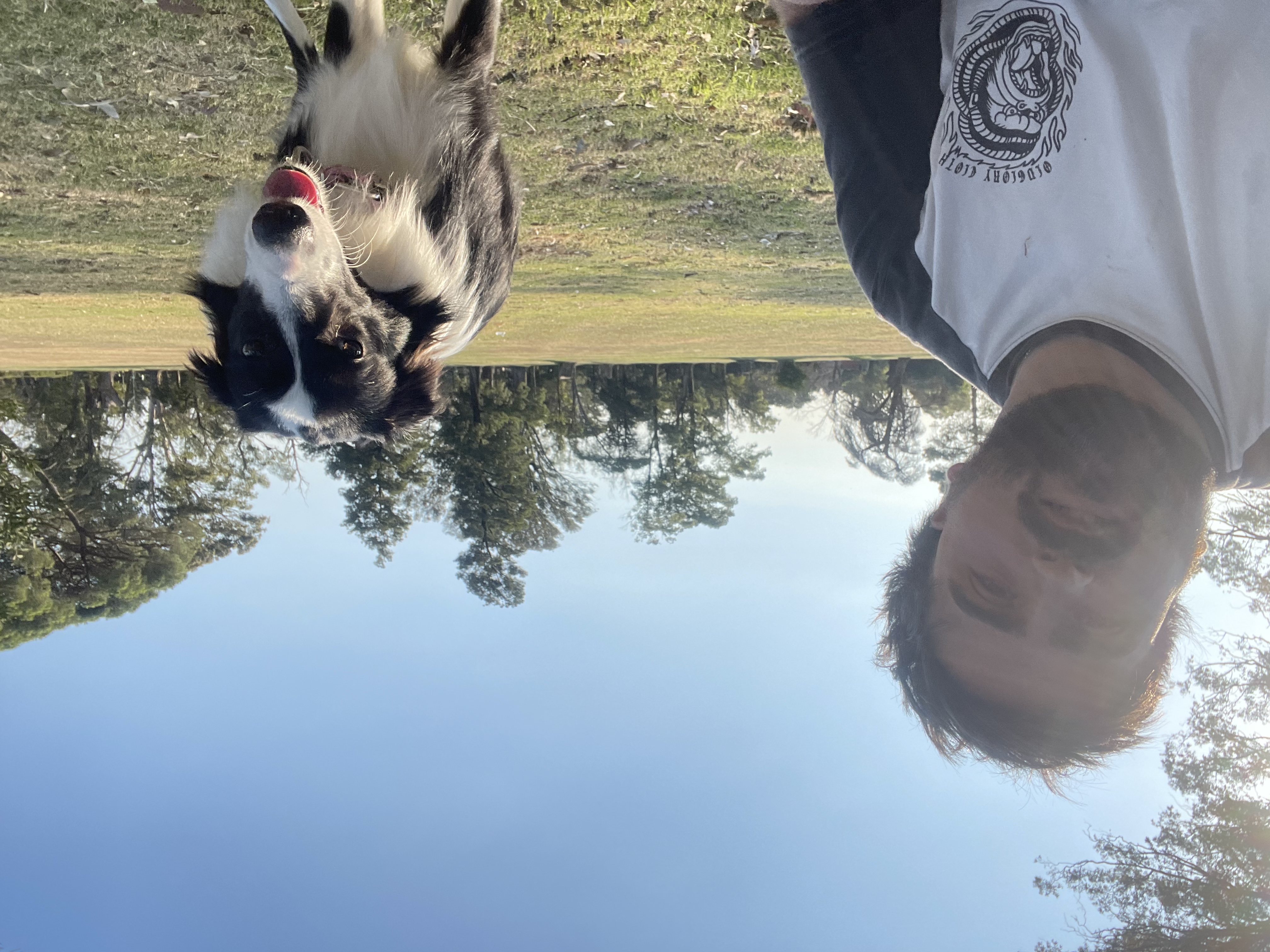 image-0
