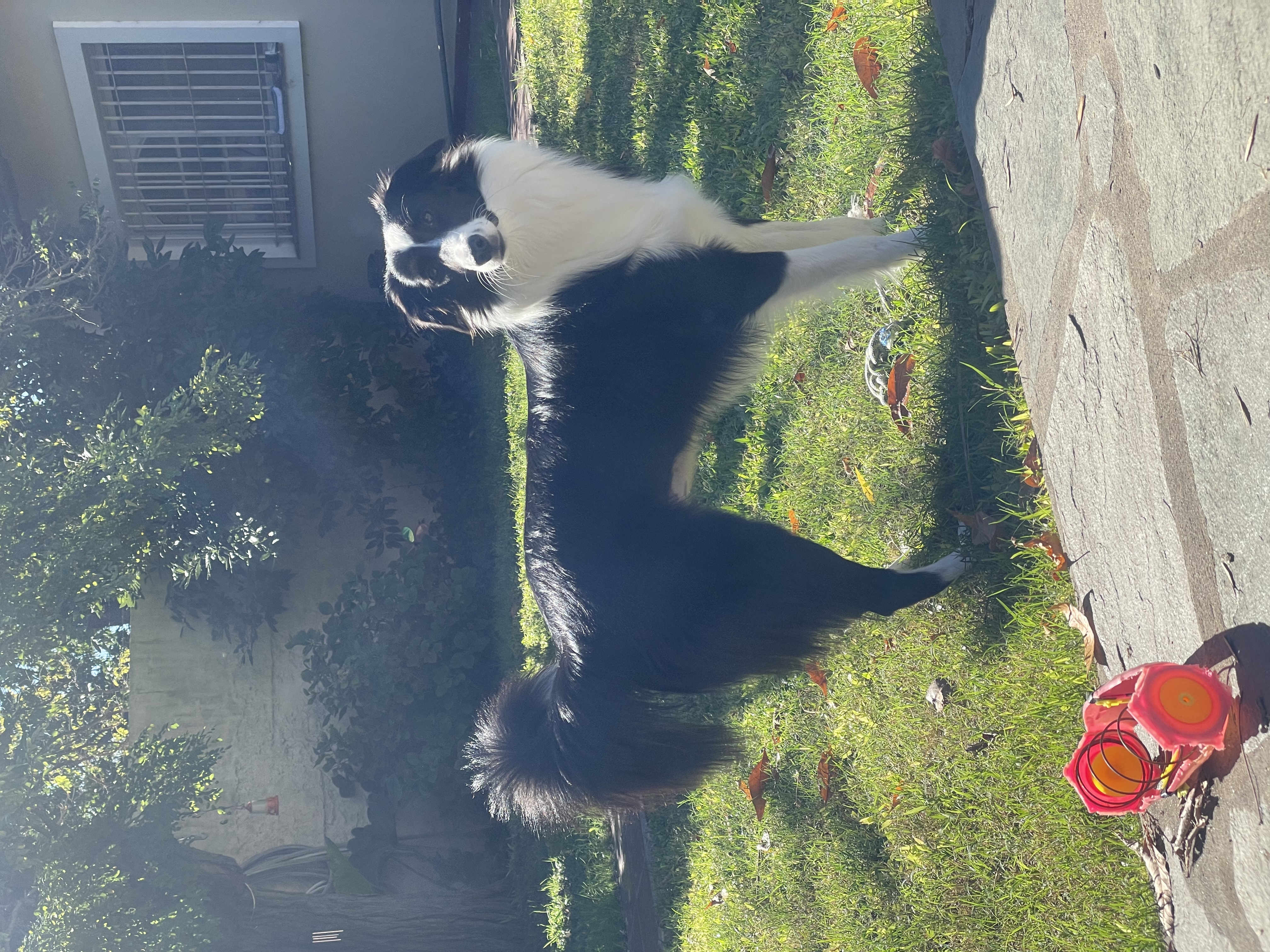 image-6