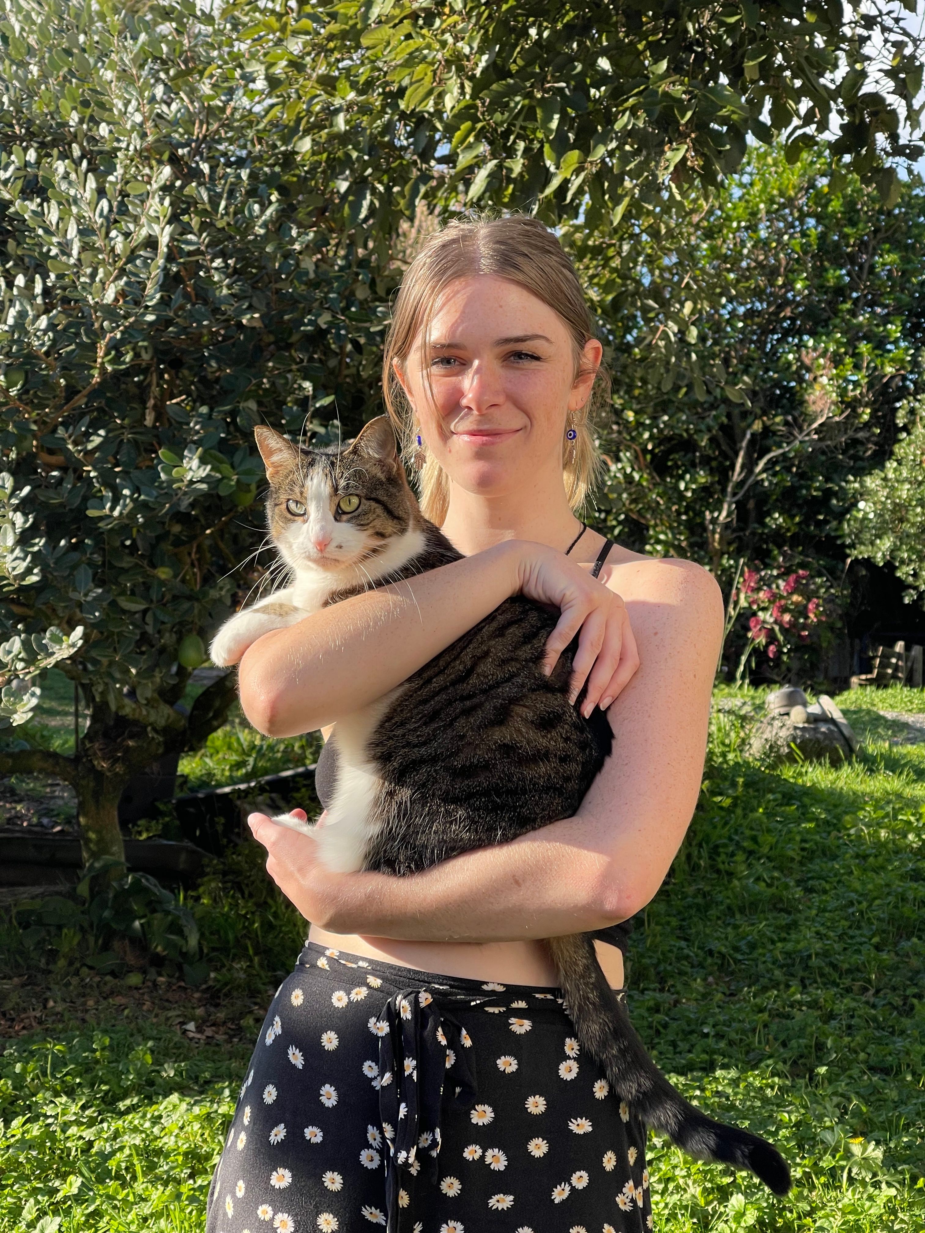 image-0