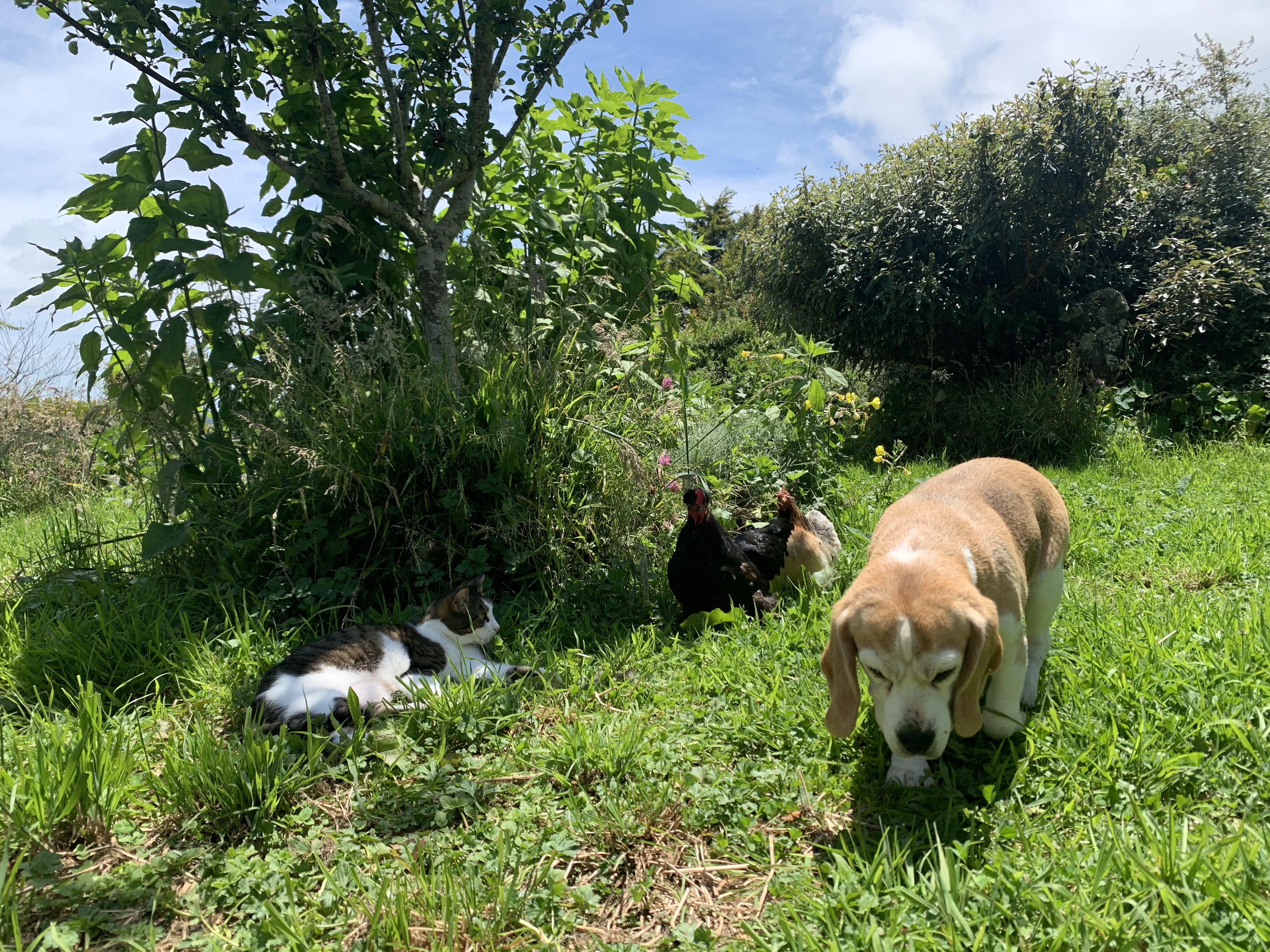 image-11