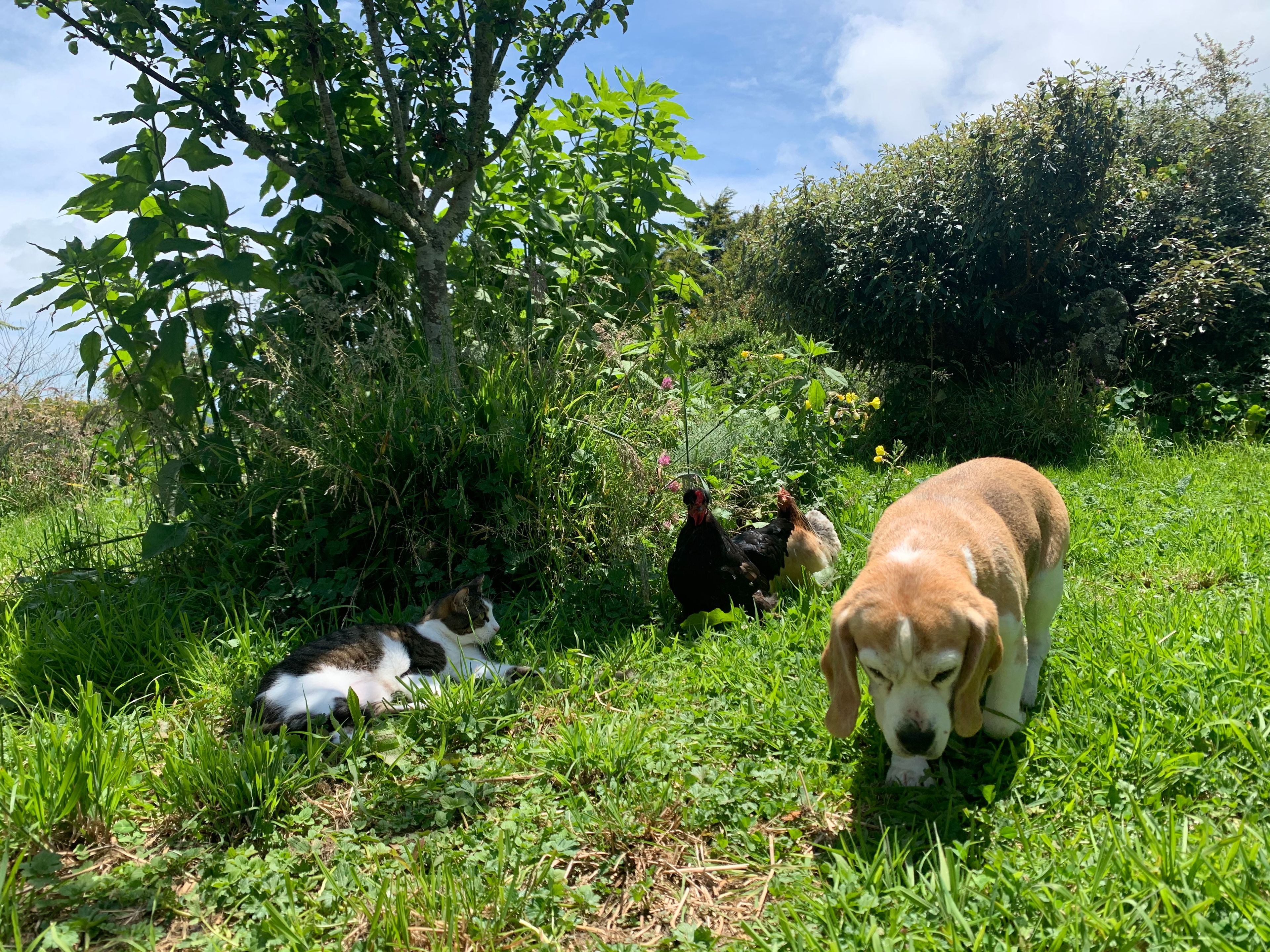 image-11