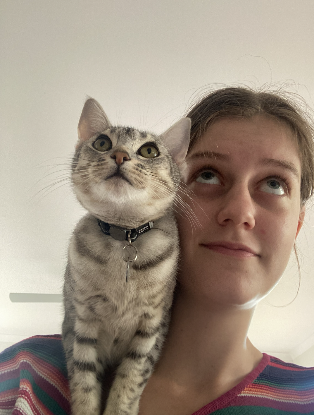 image-6