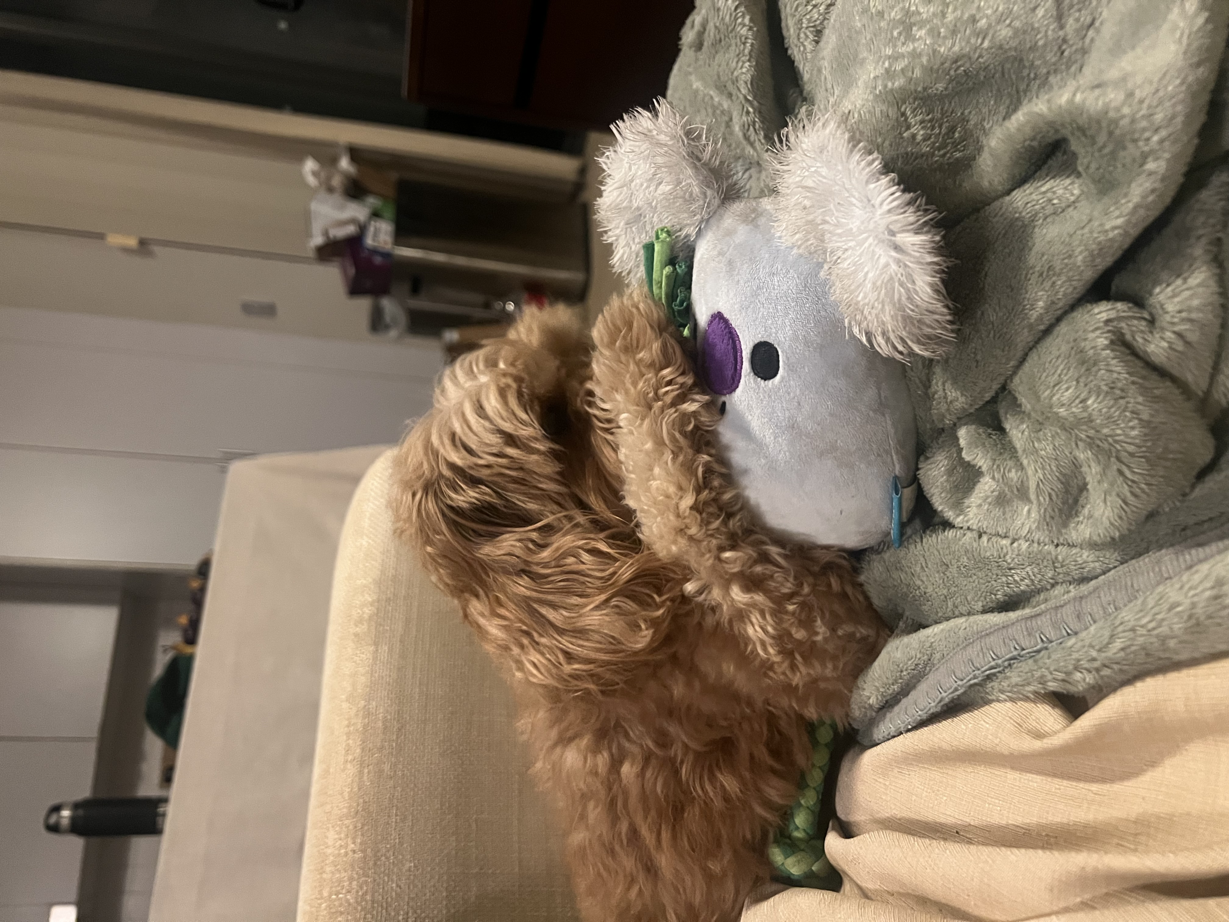 image-10