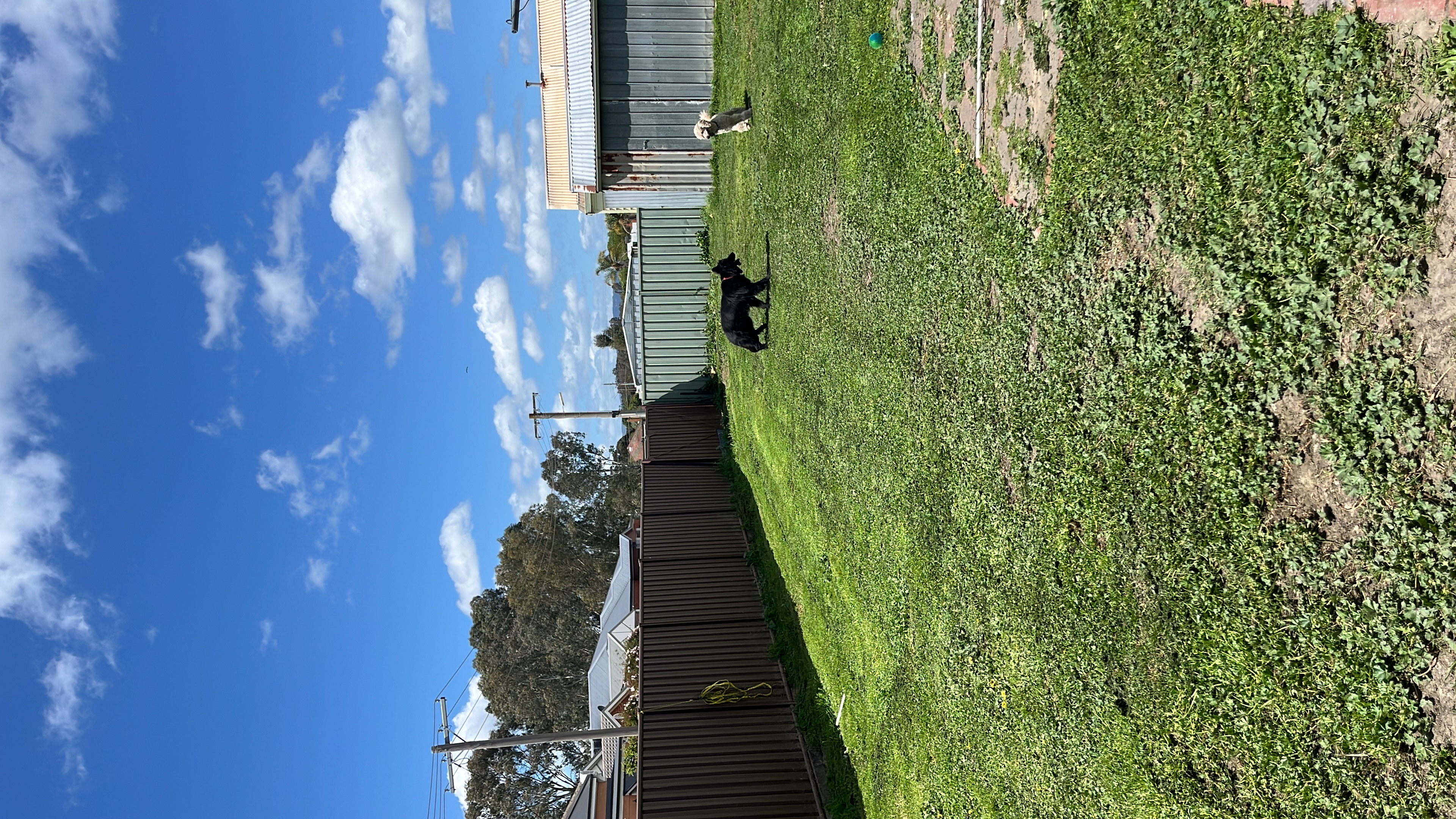 image-16