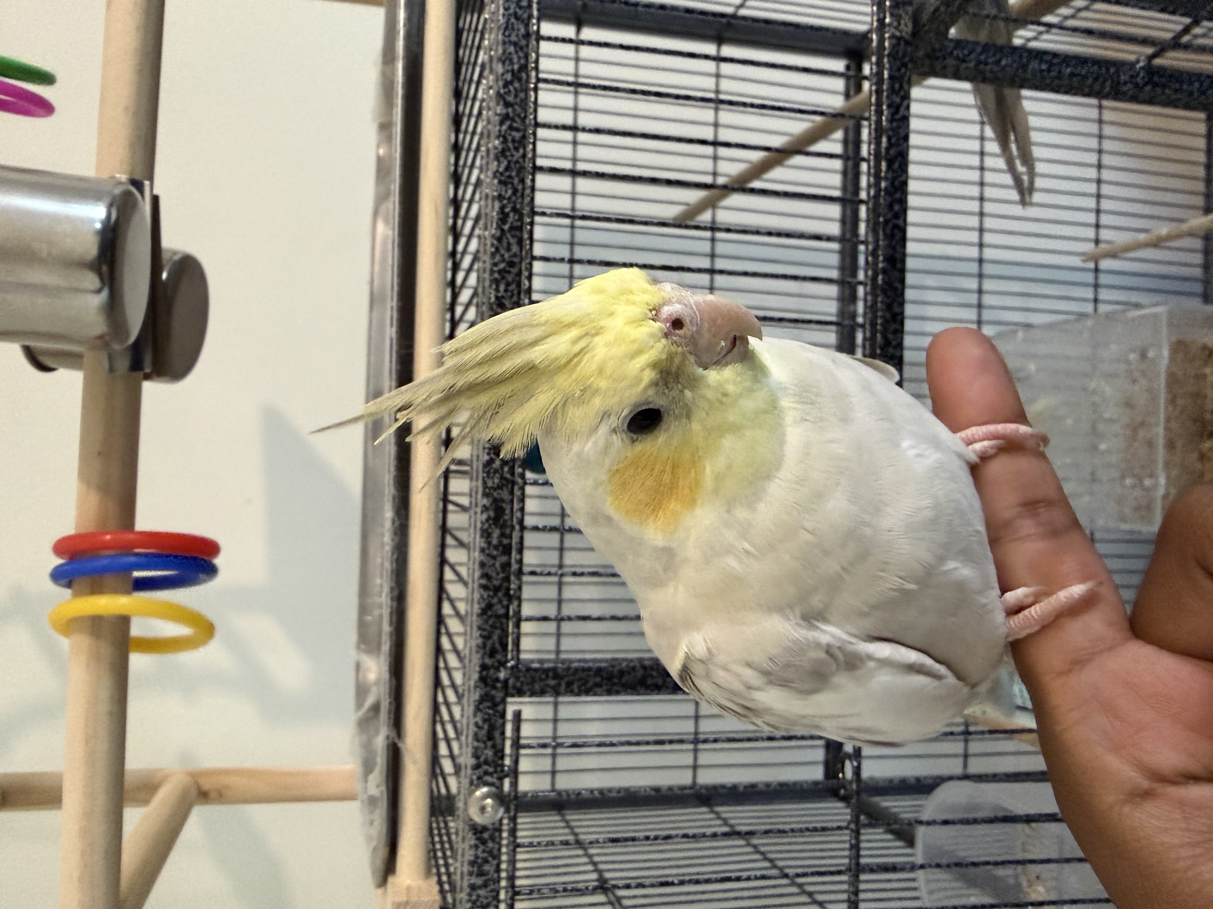 image-10