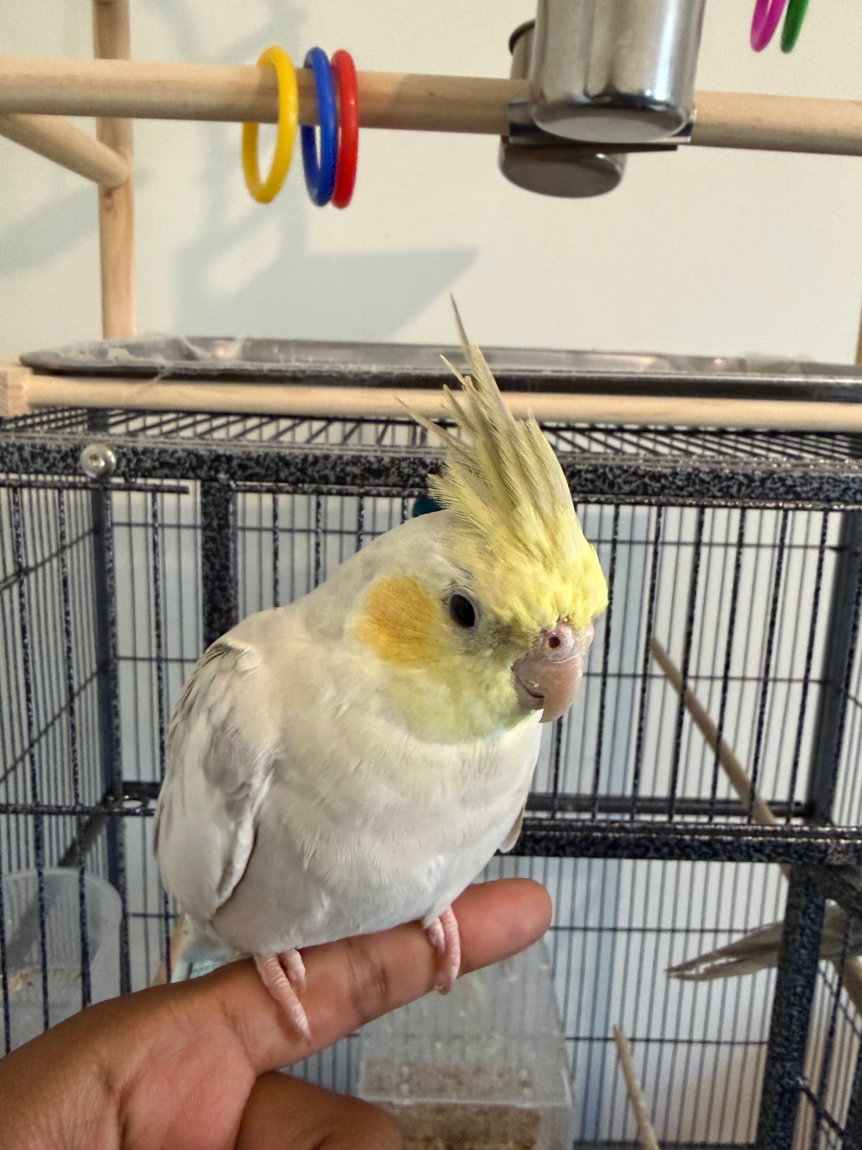 image-10