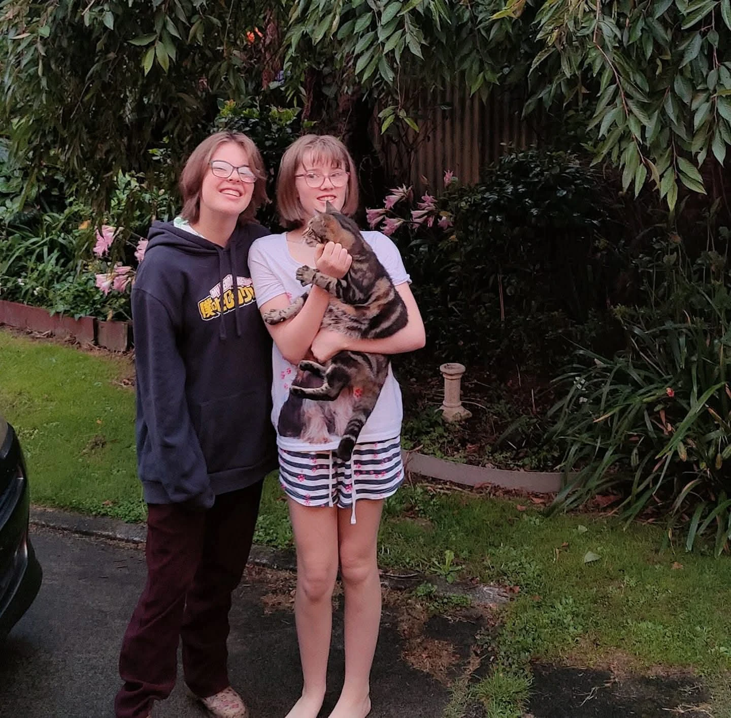 image-3