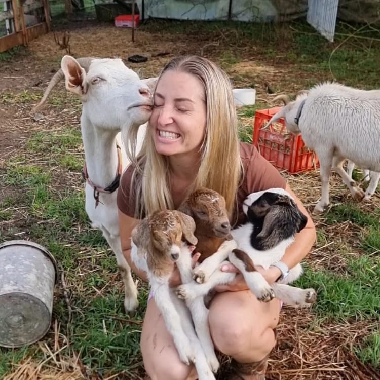 Goats