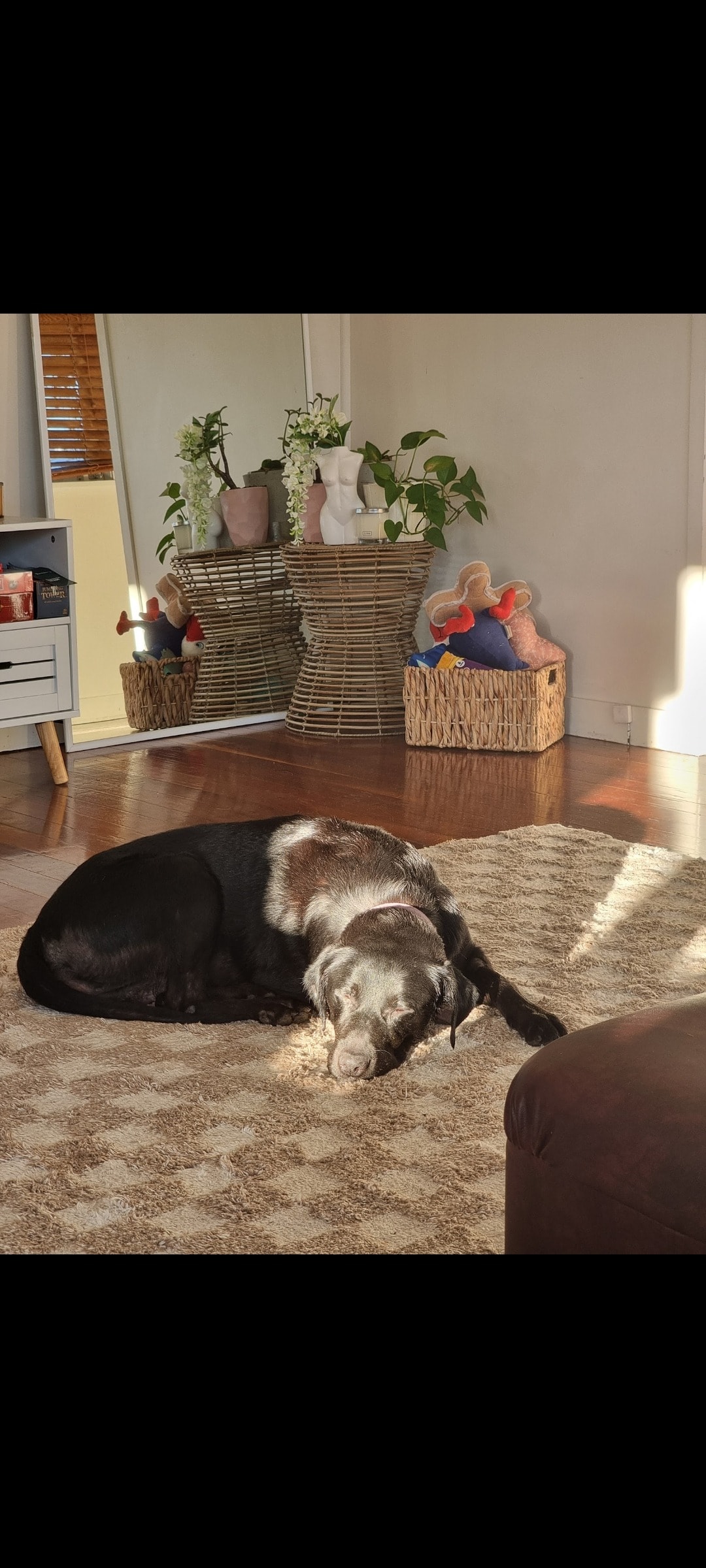 image-5