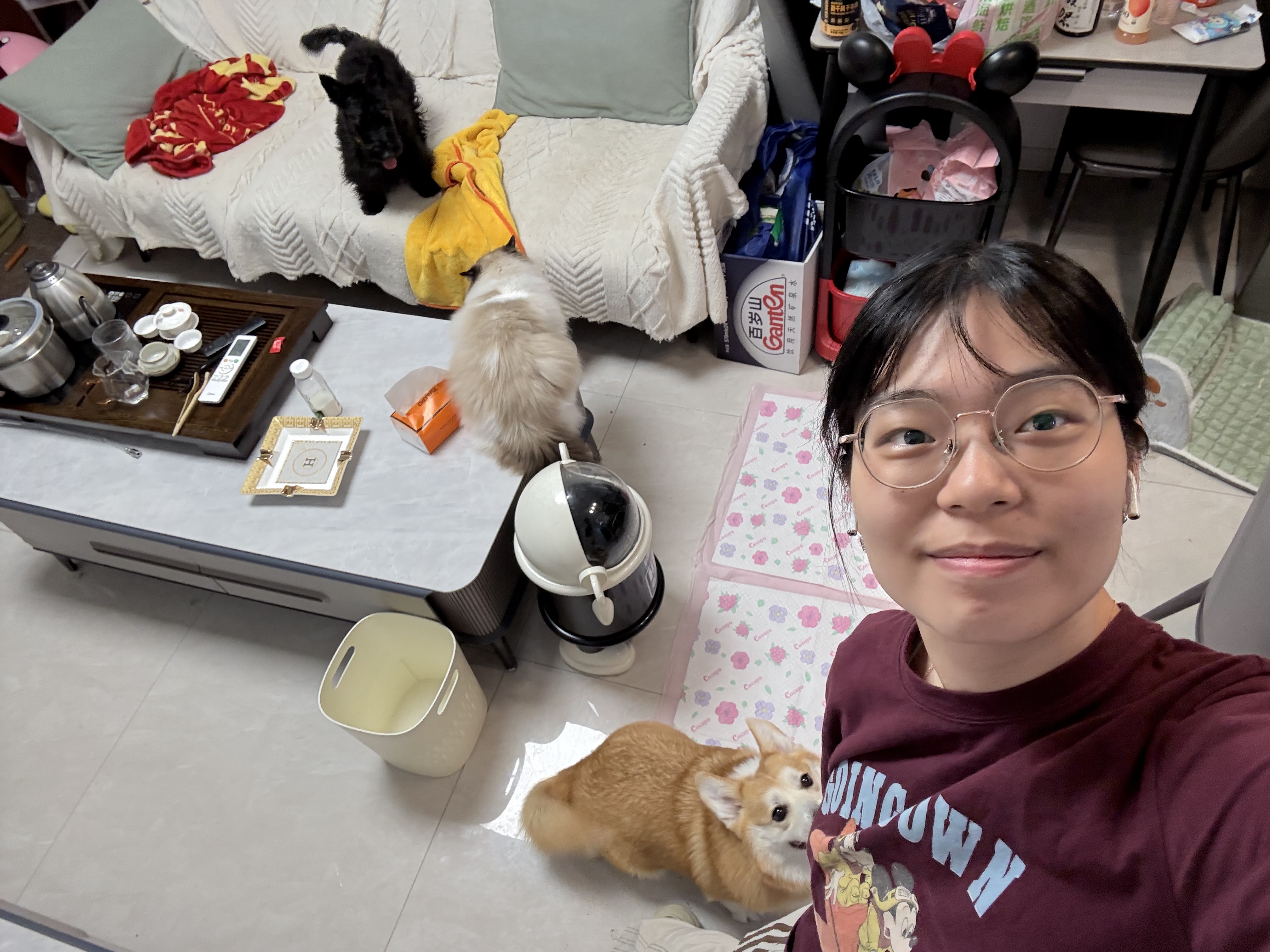 image-7