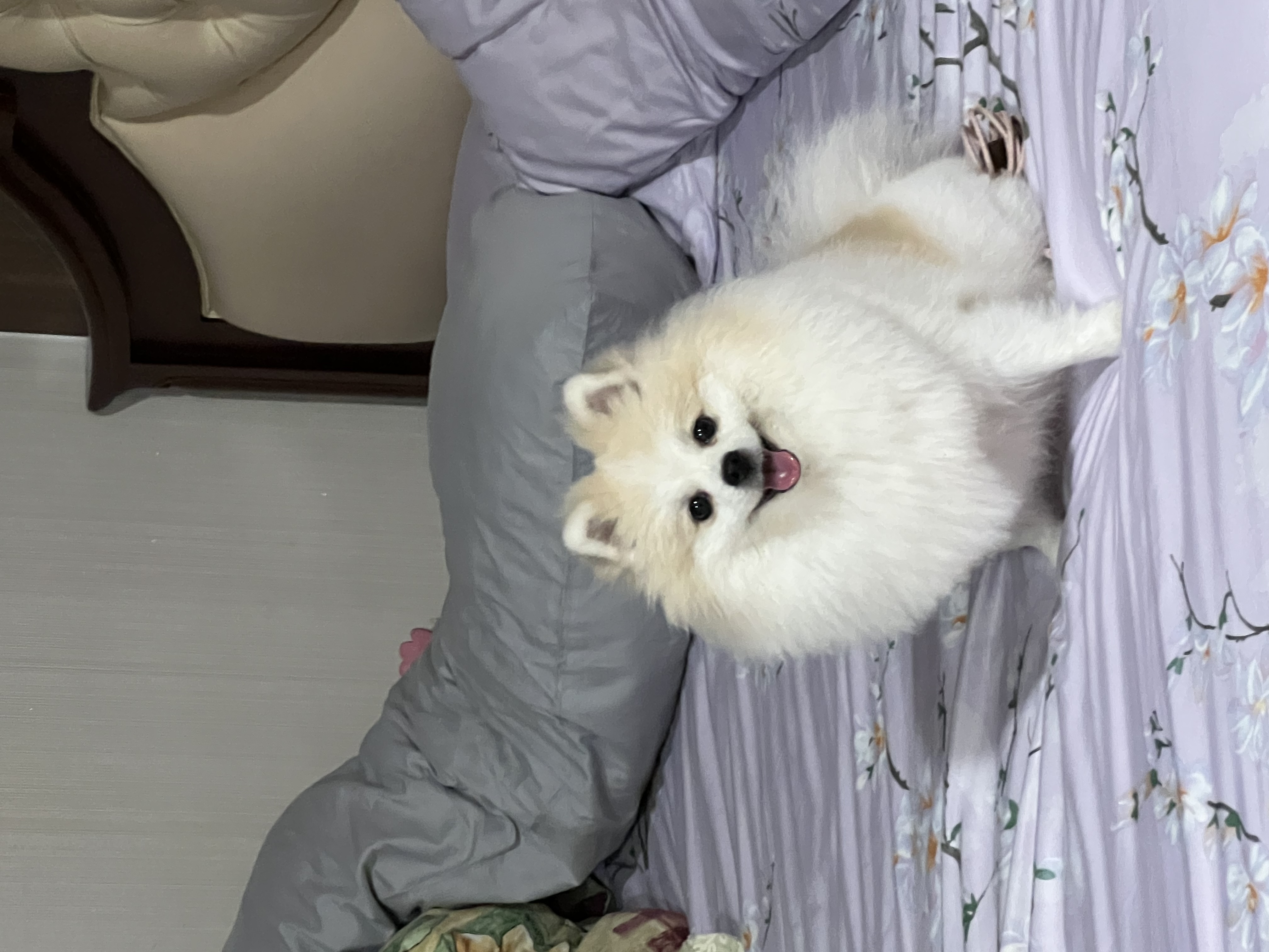 image-8