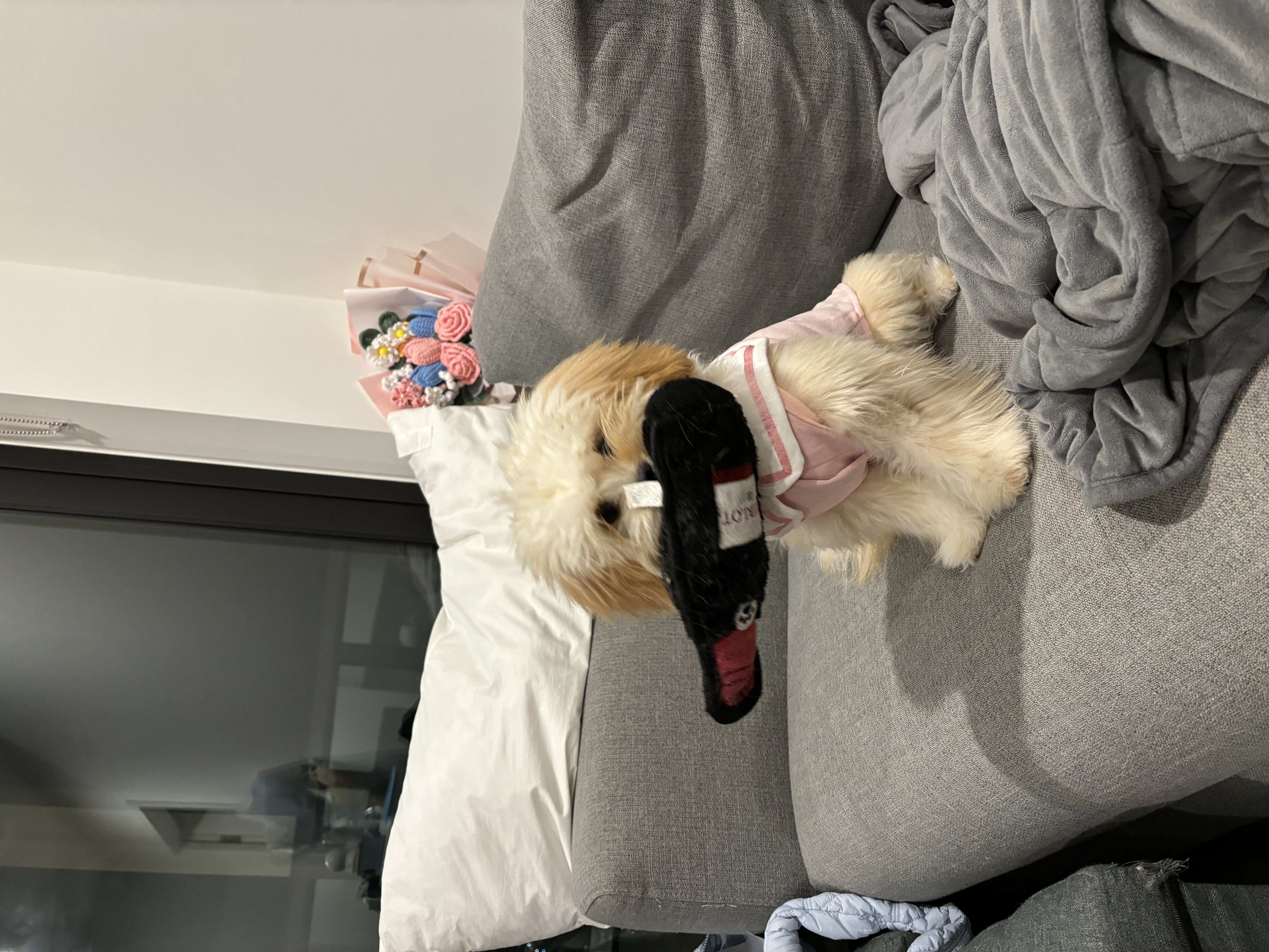 image-9