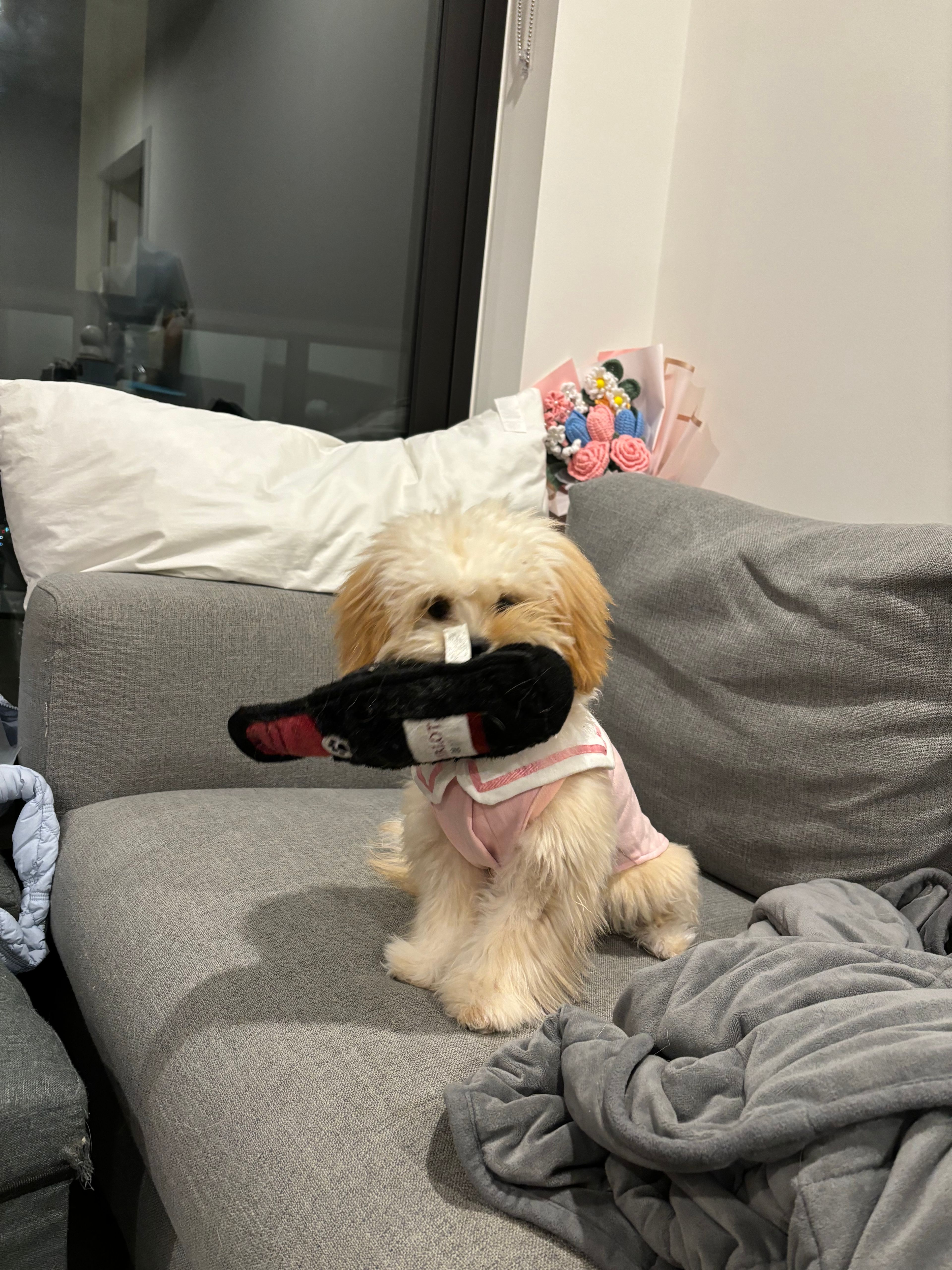 image-9
