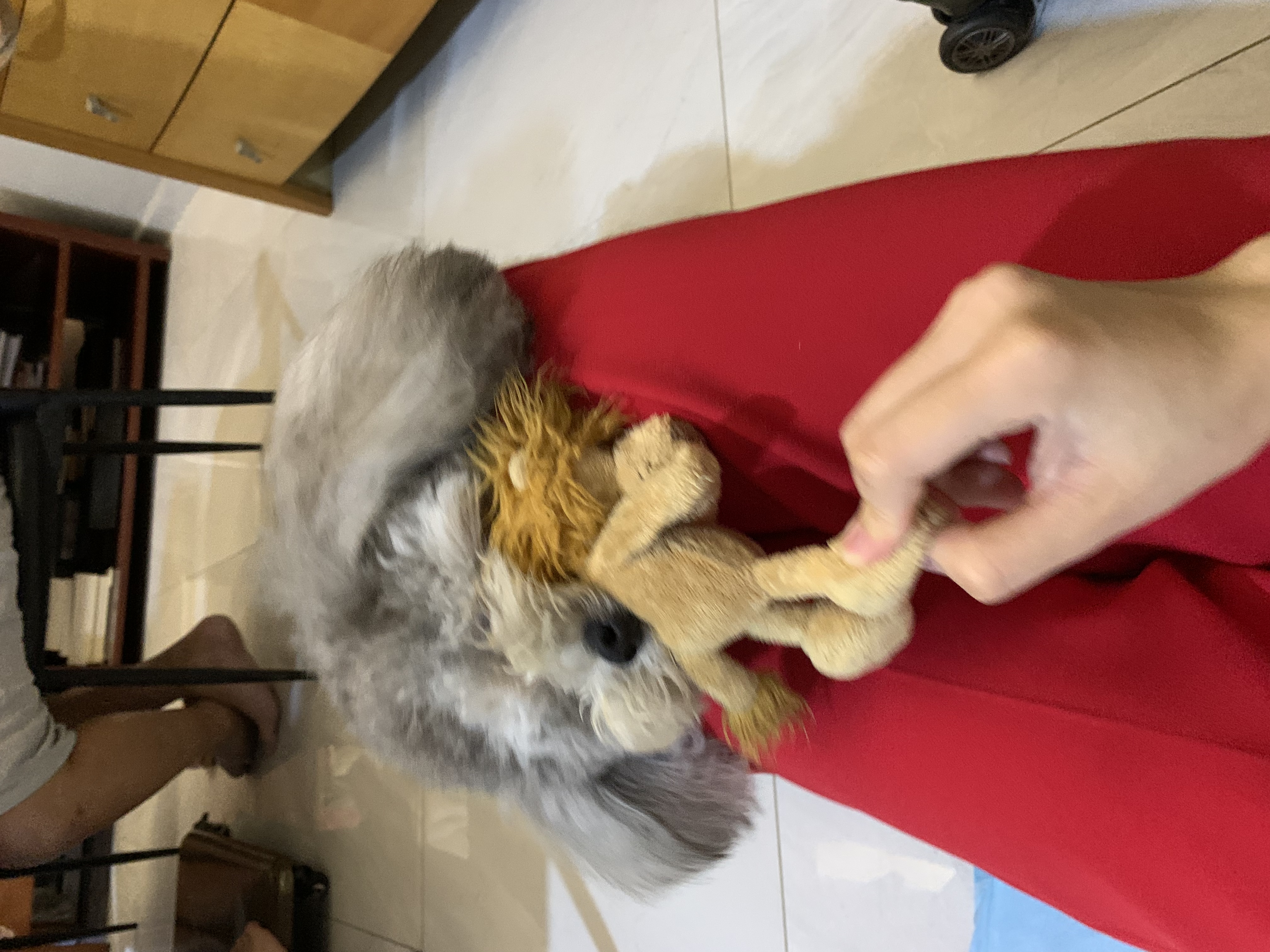 image-11
