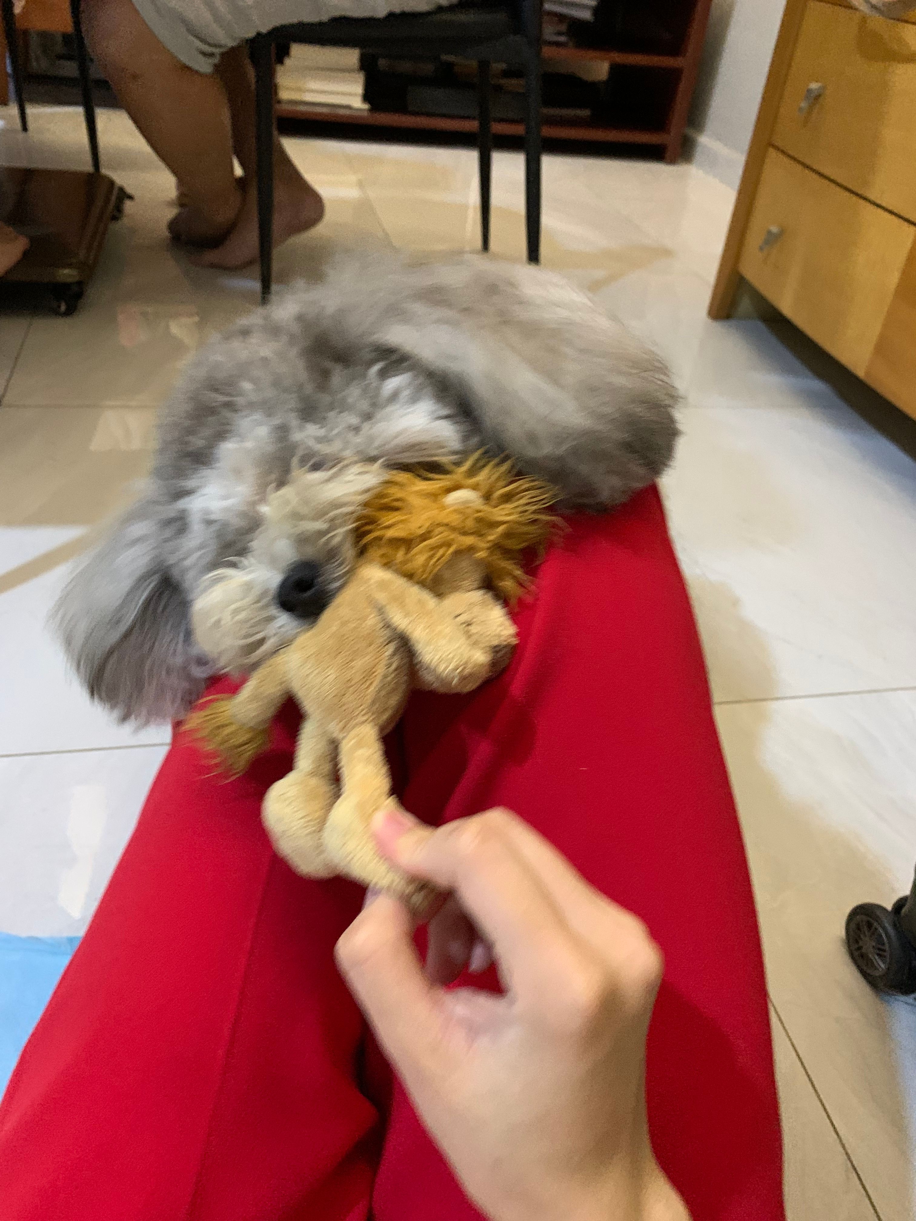 image-11