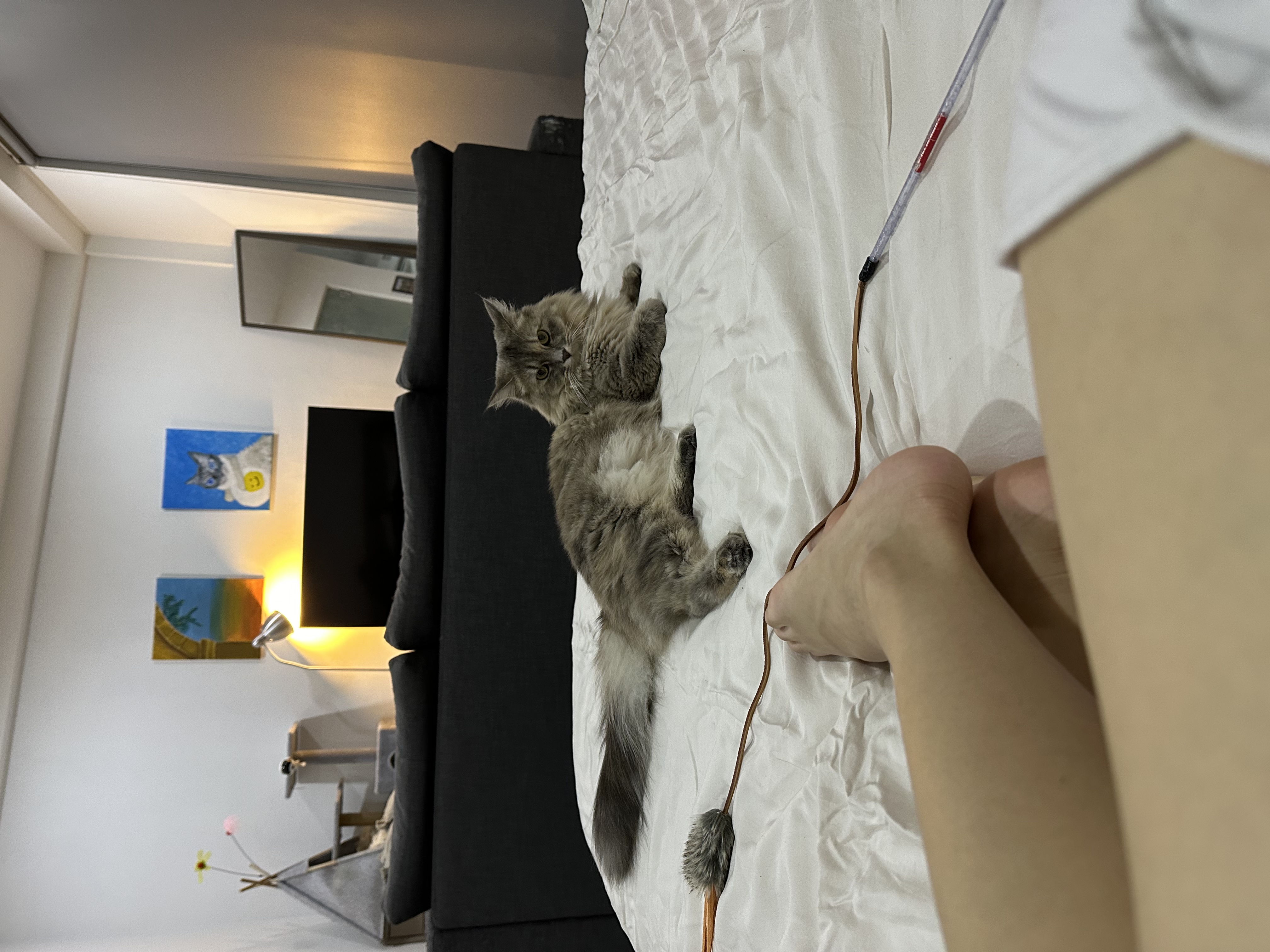 image-3