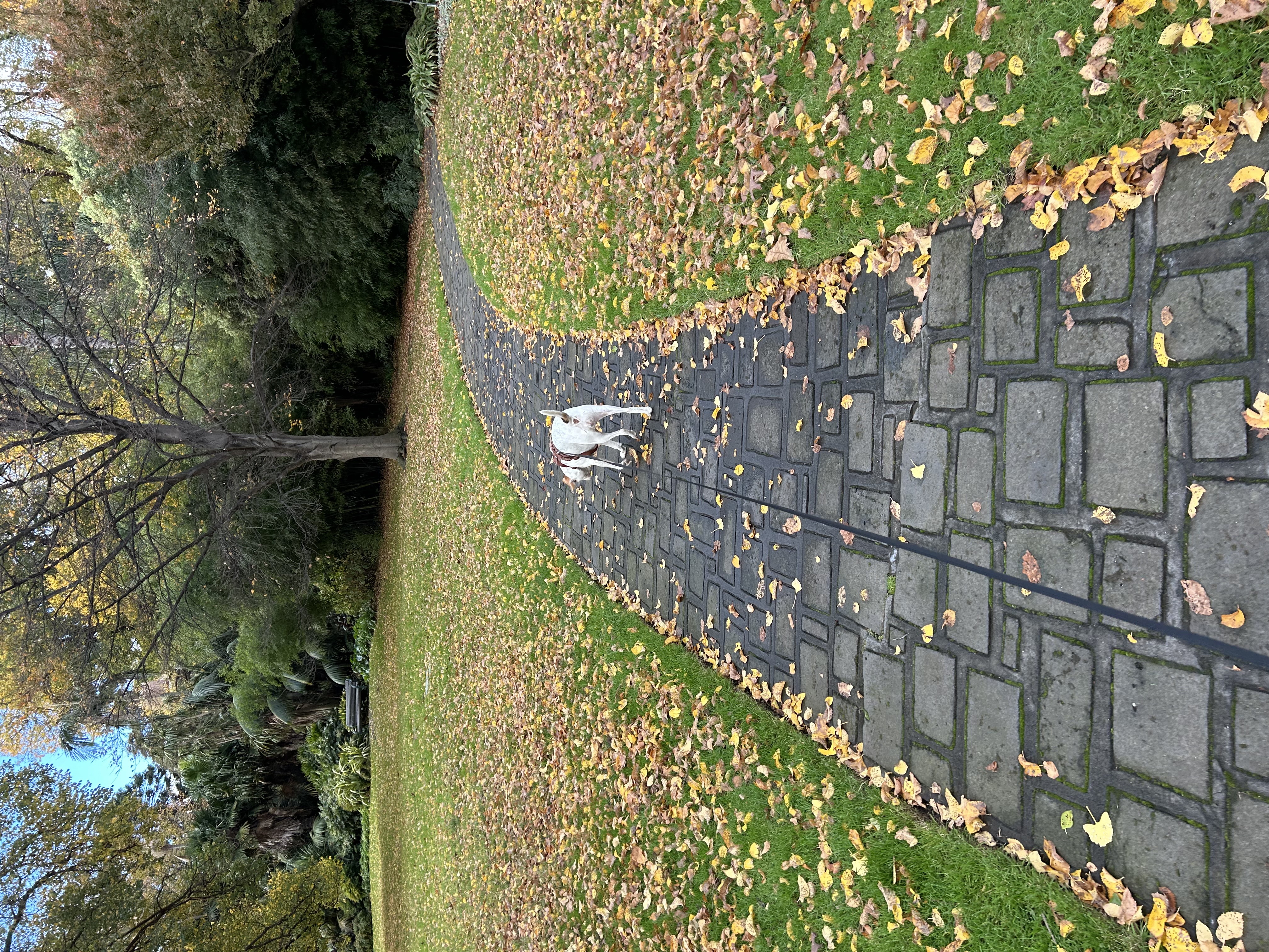 image-13