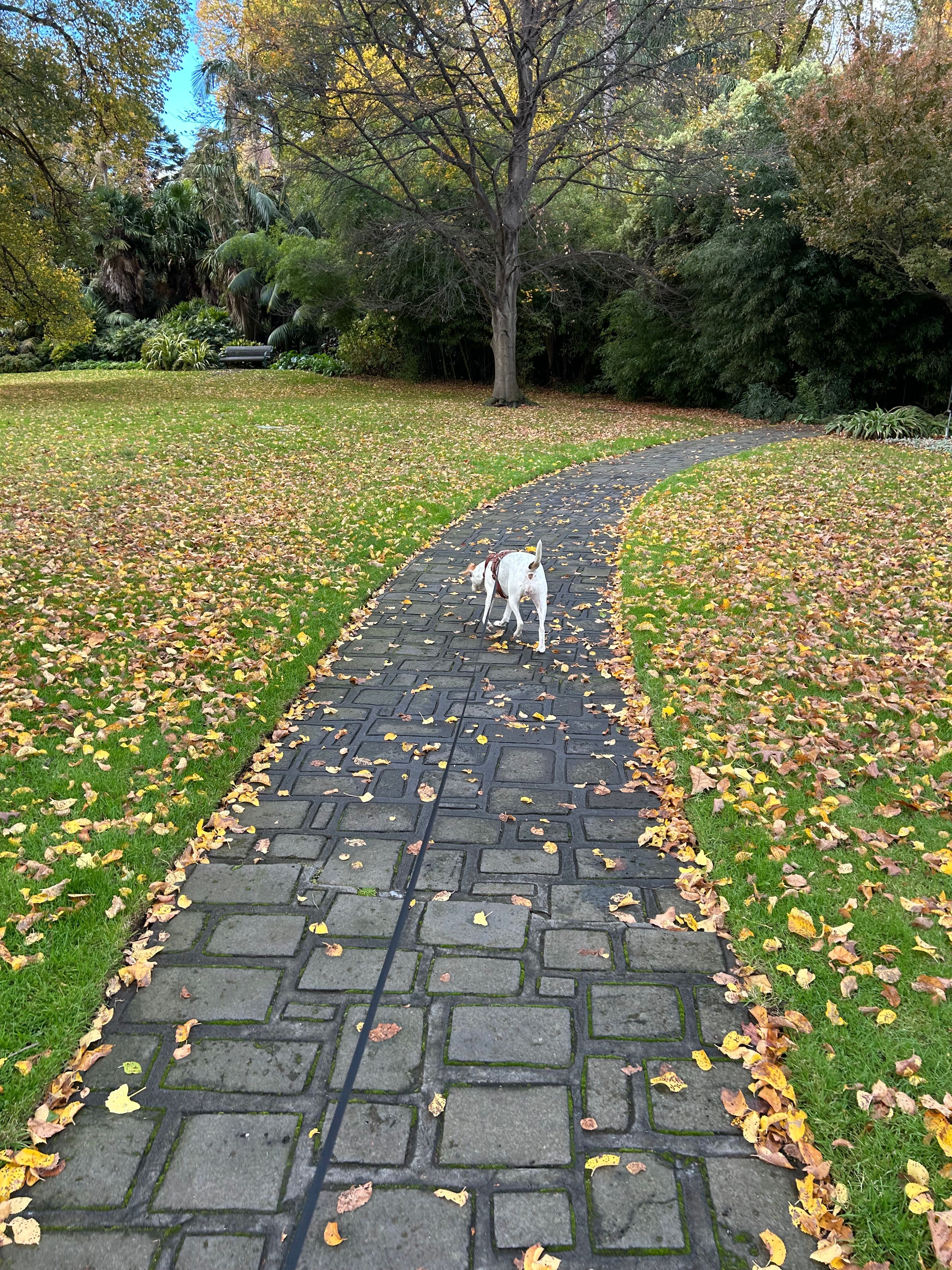 image-13