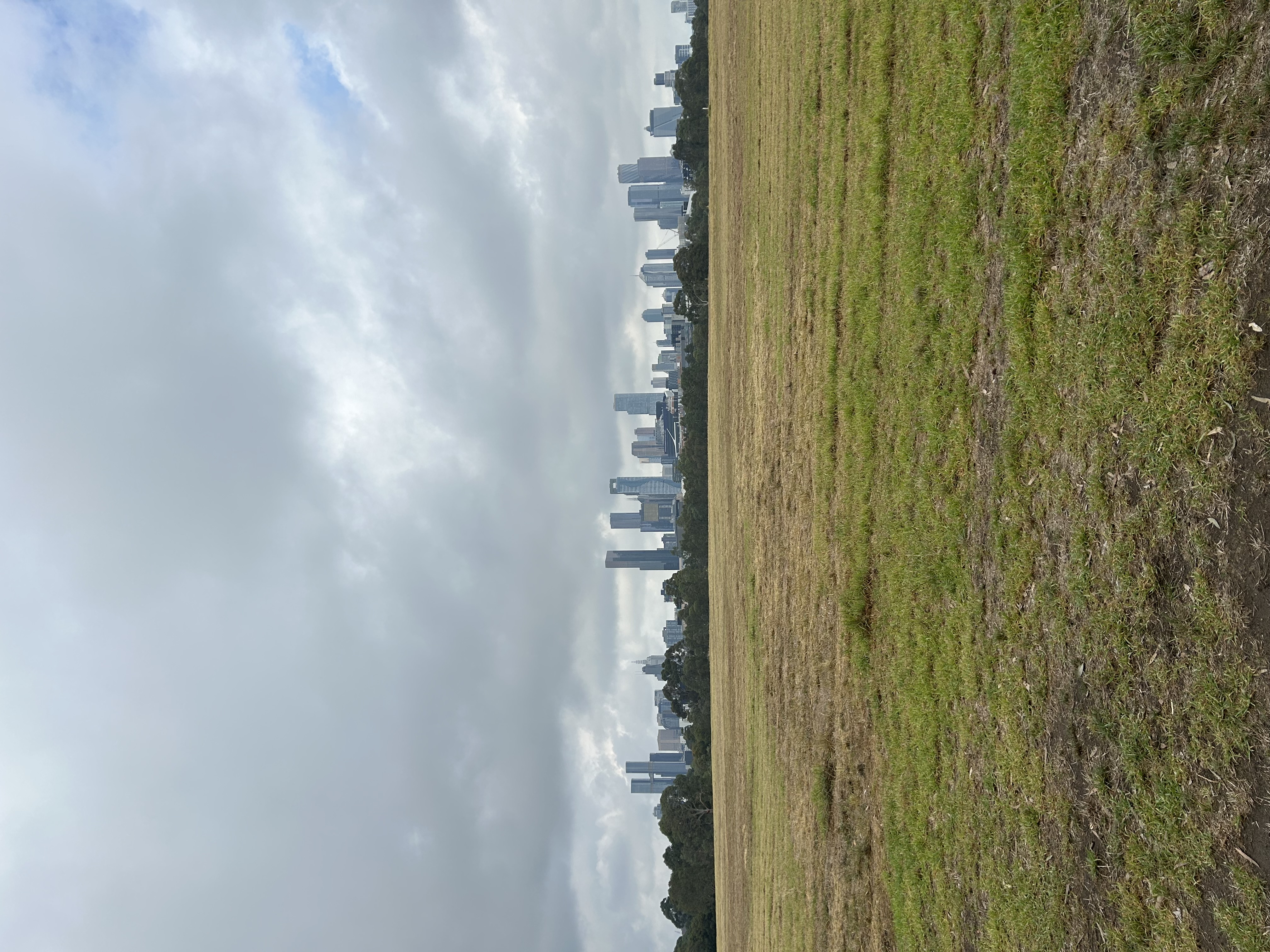 image-14