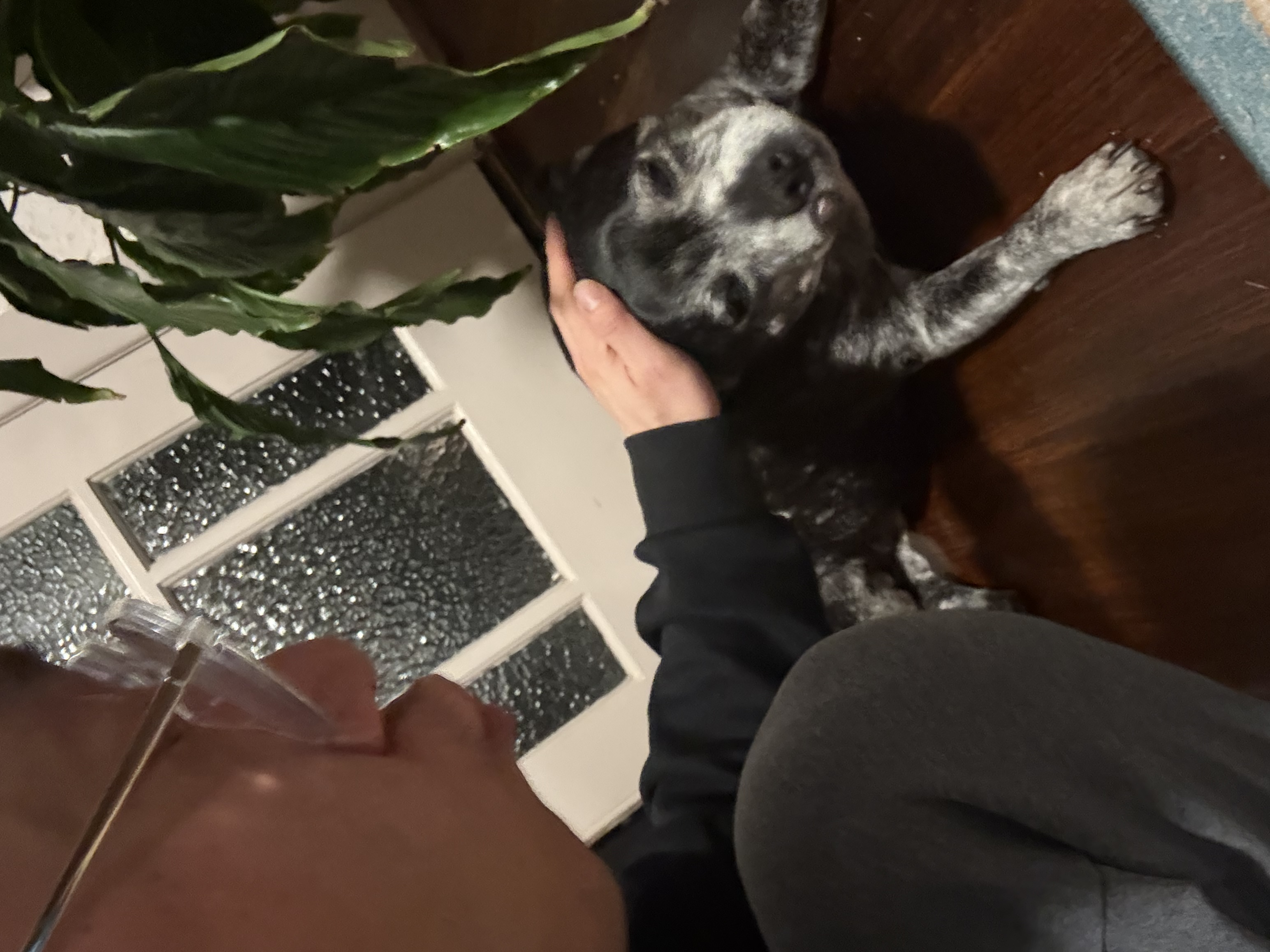 image-18