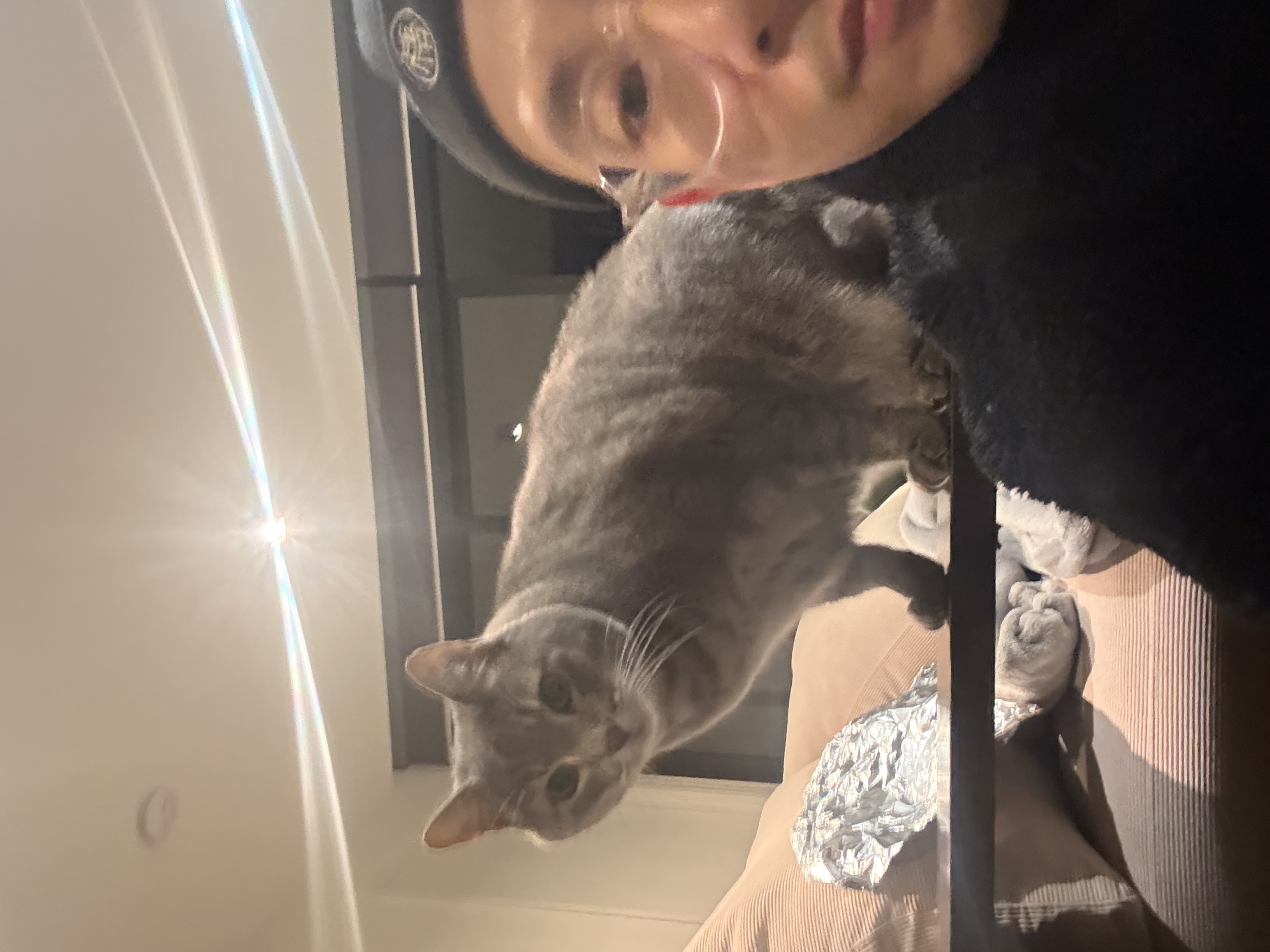 image-14