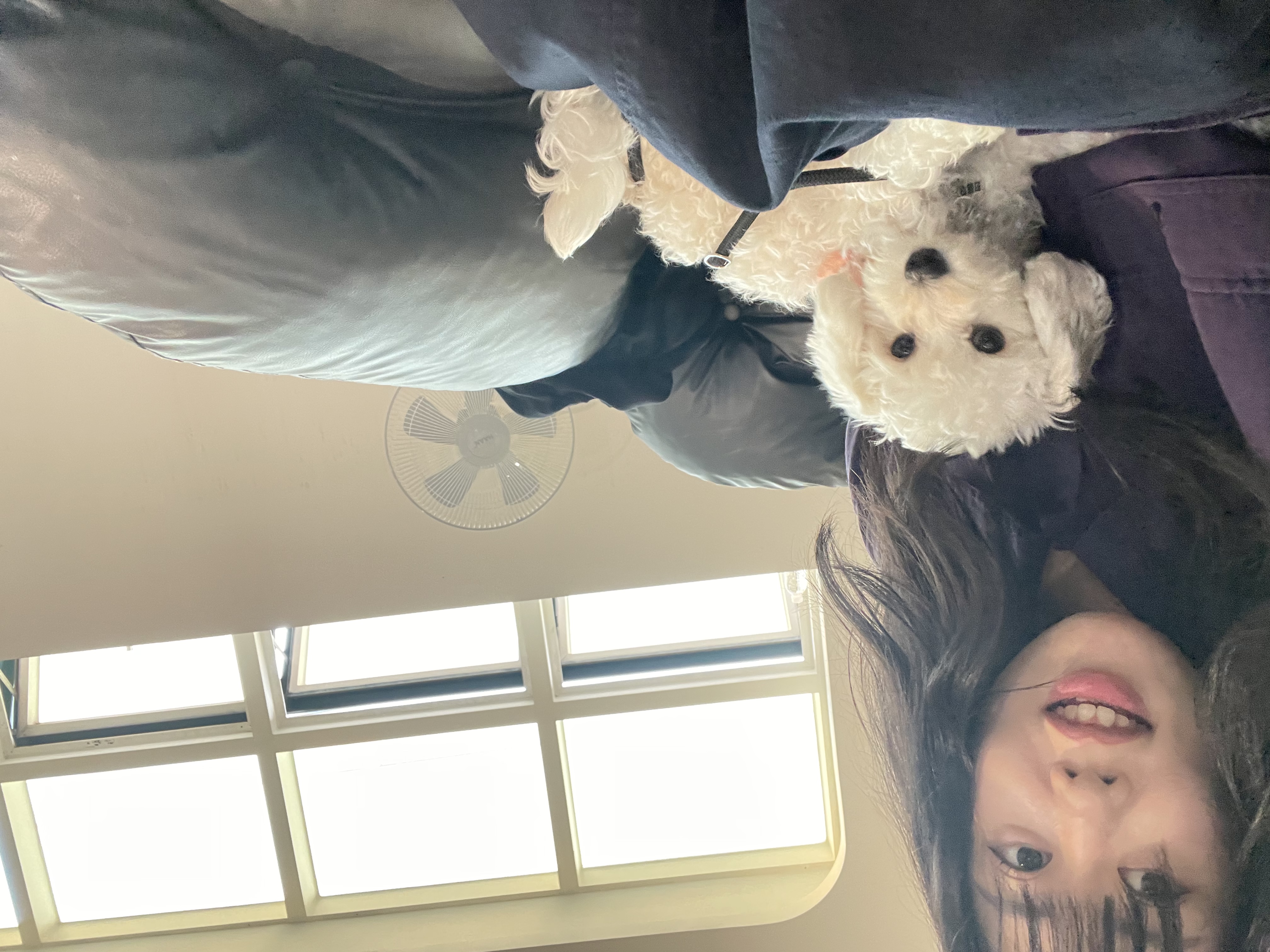 image-4