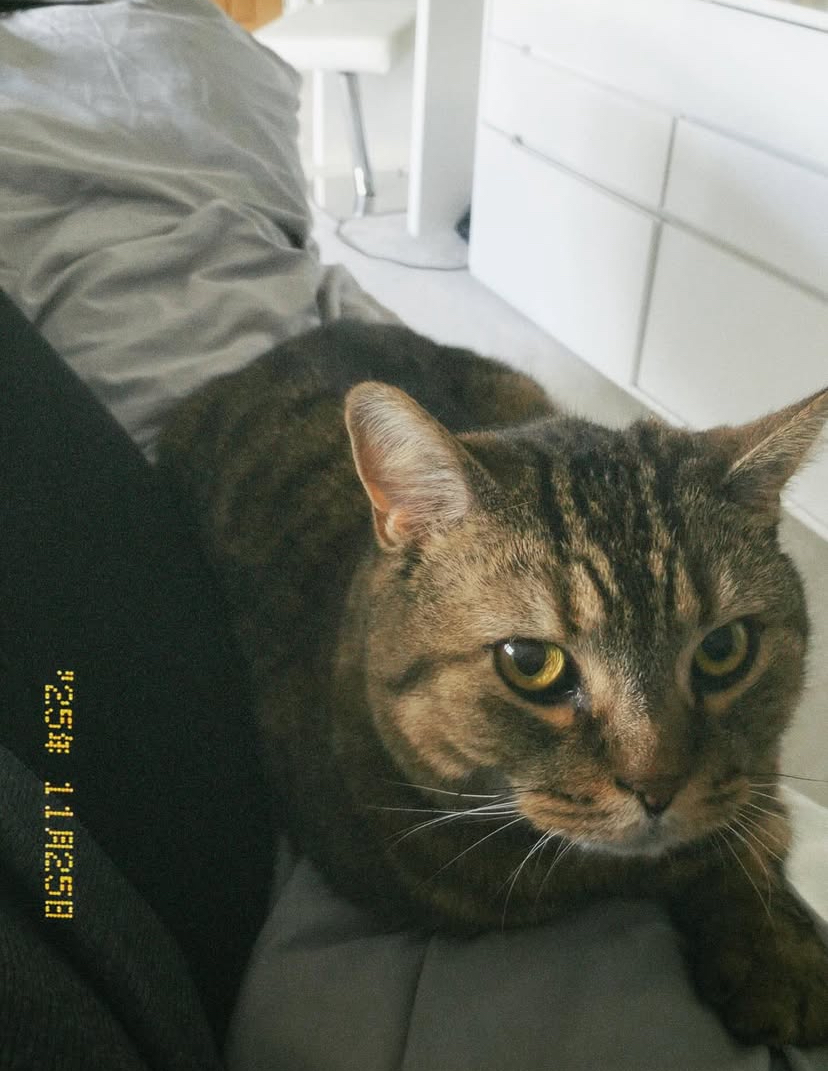 image-6
