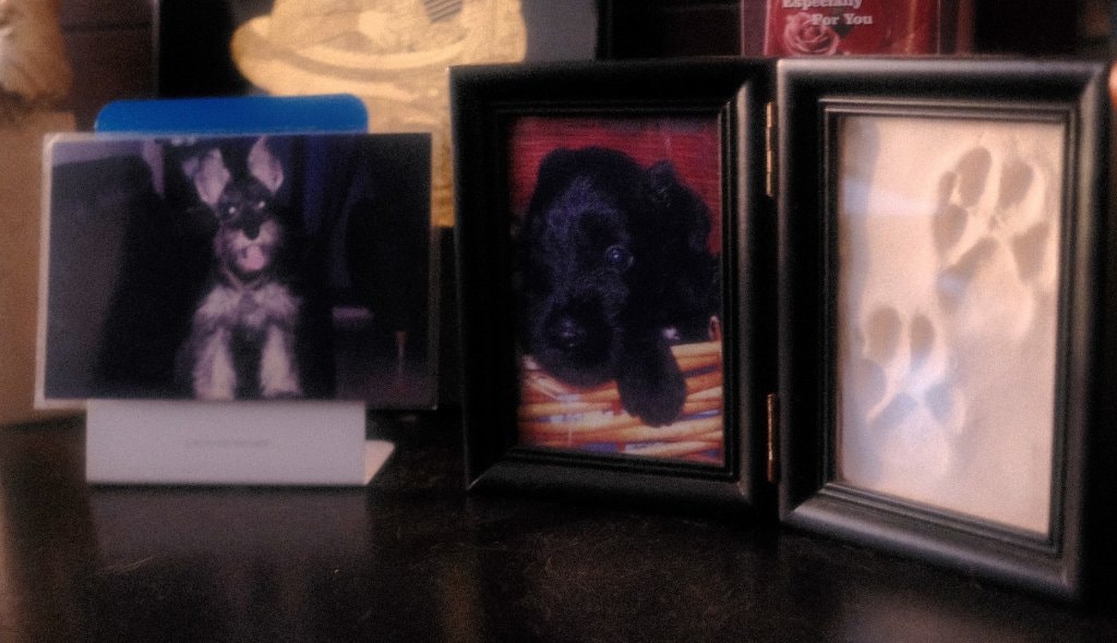 image-11