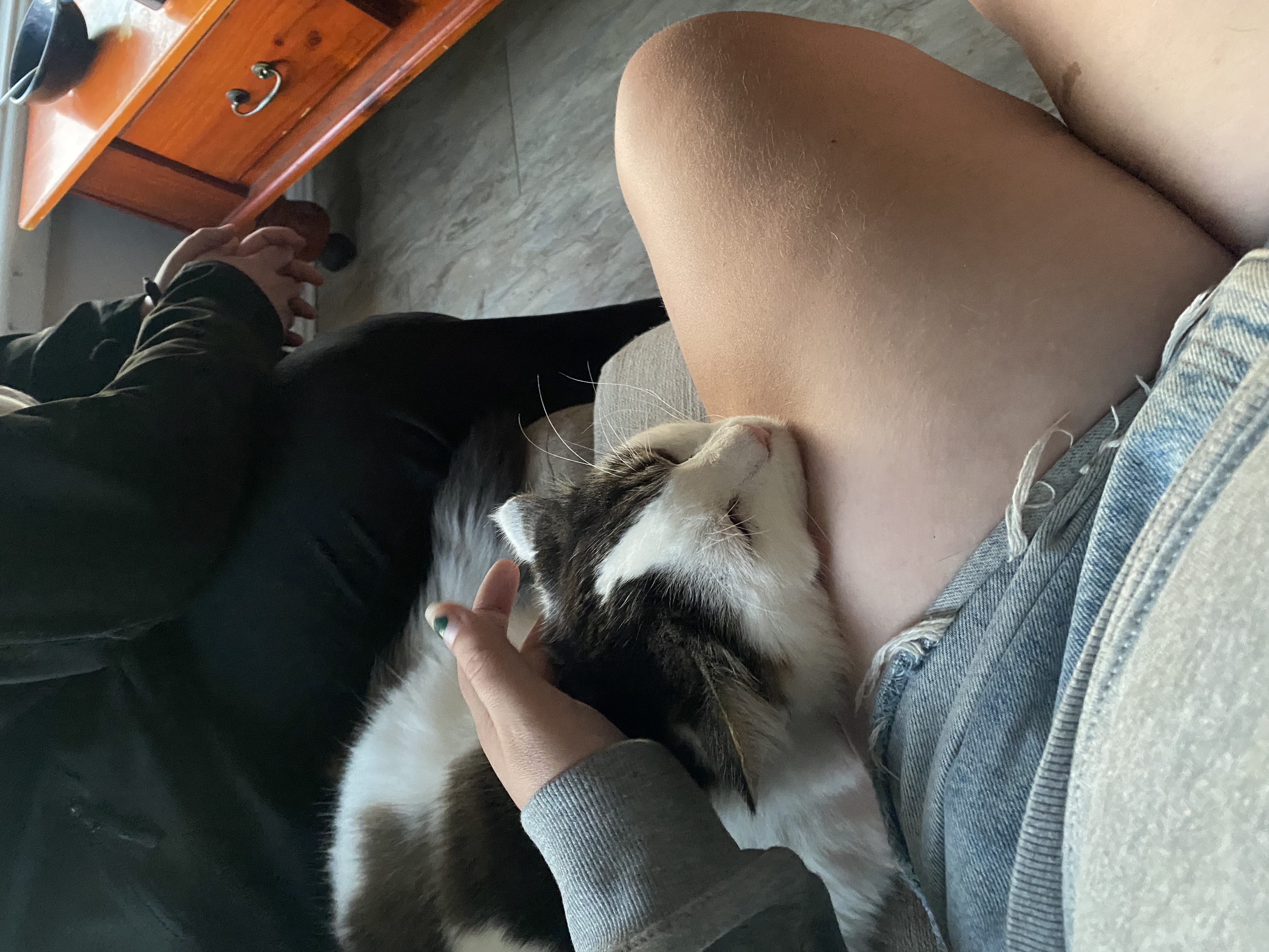 image-7