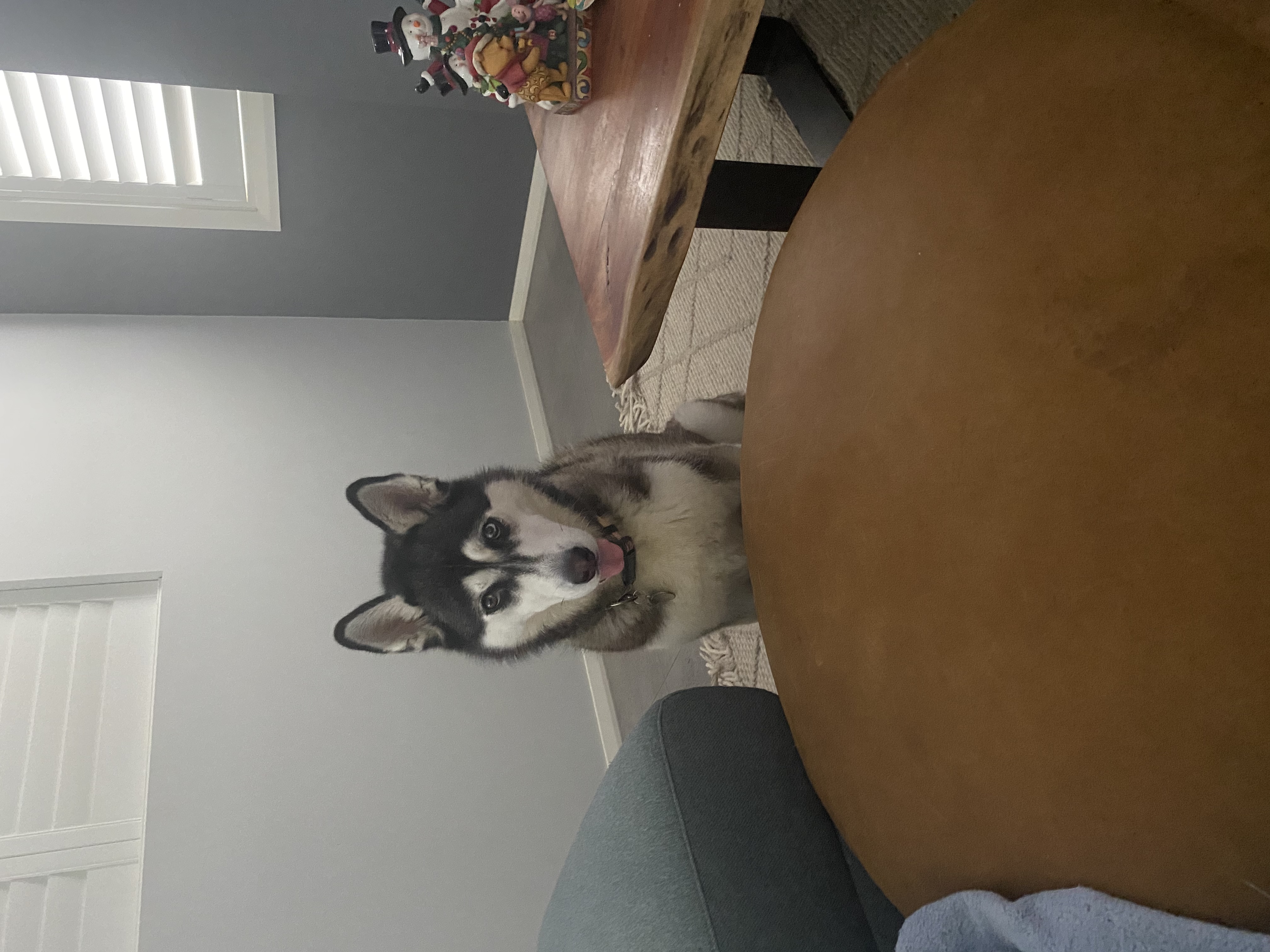 image-3